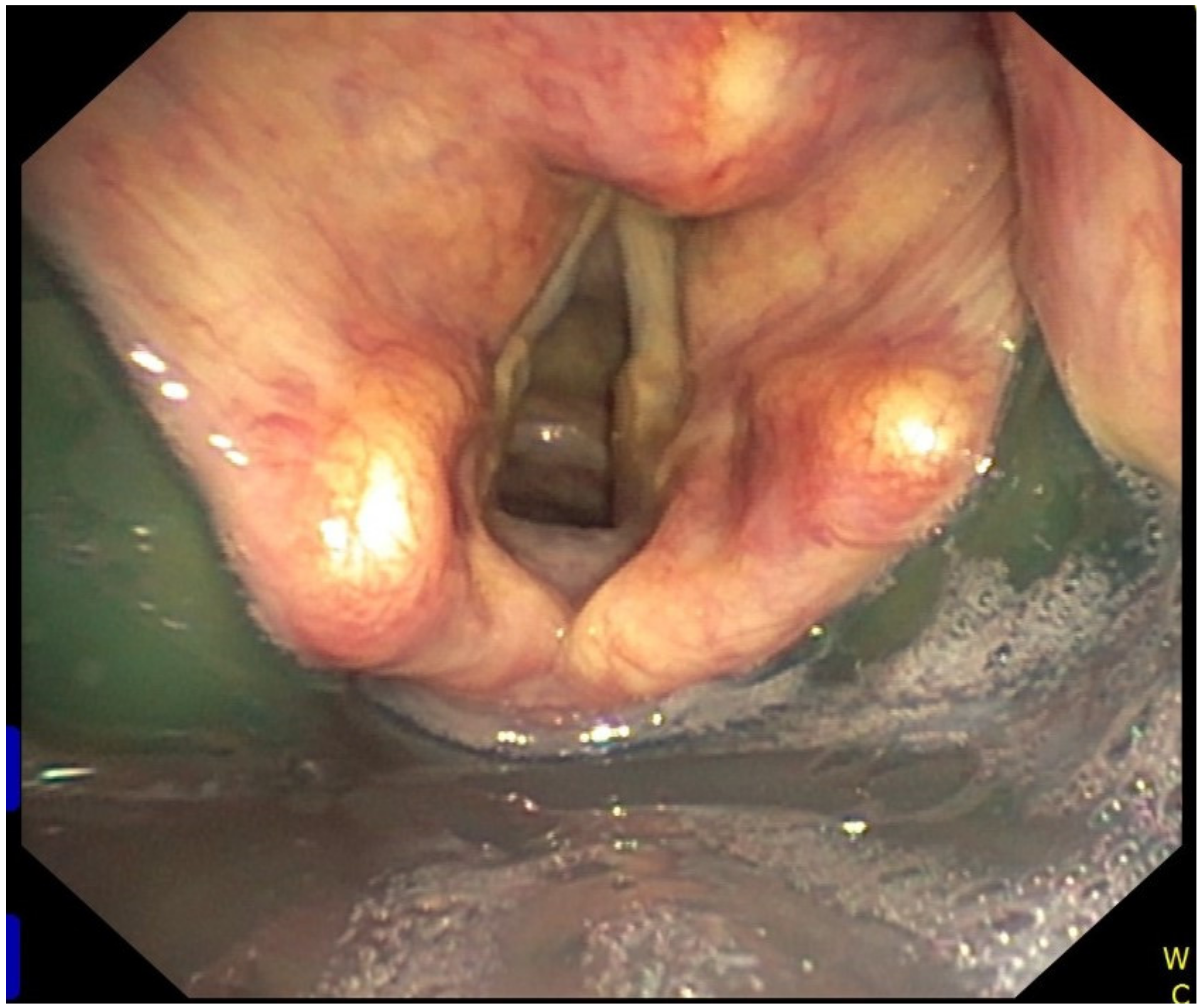 Diagnostics 11 00575 g001 Diagnostics 11 00575 g001