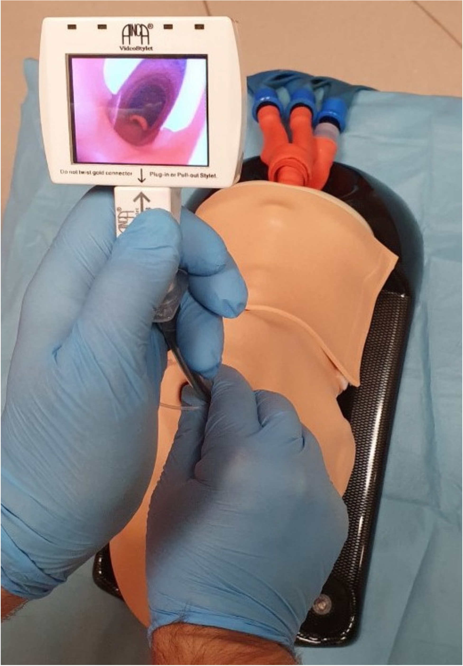 Diagnostics 11 00575 g004 Diagnostics 11 00575 g004