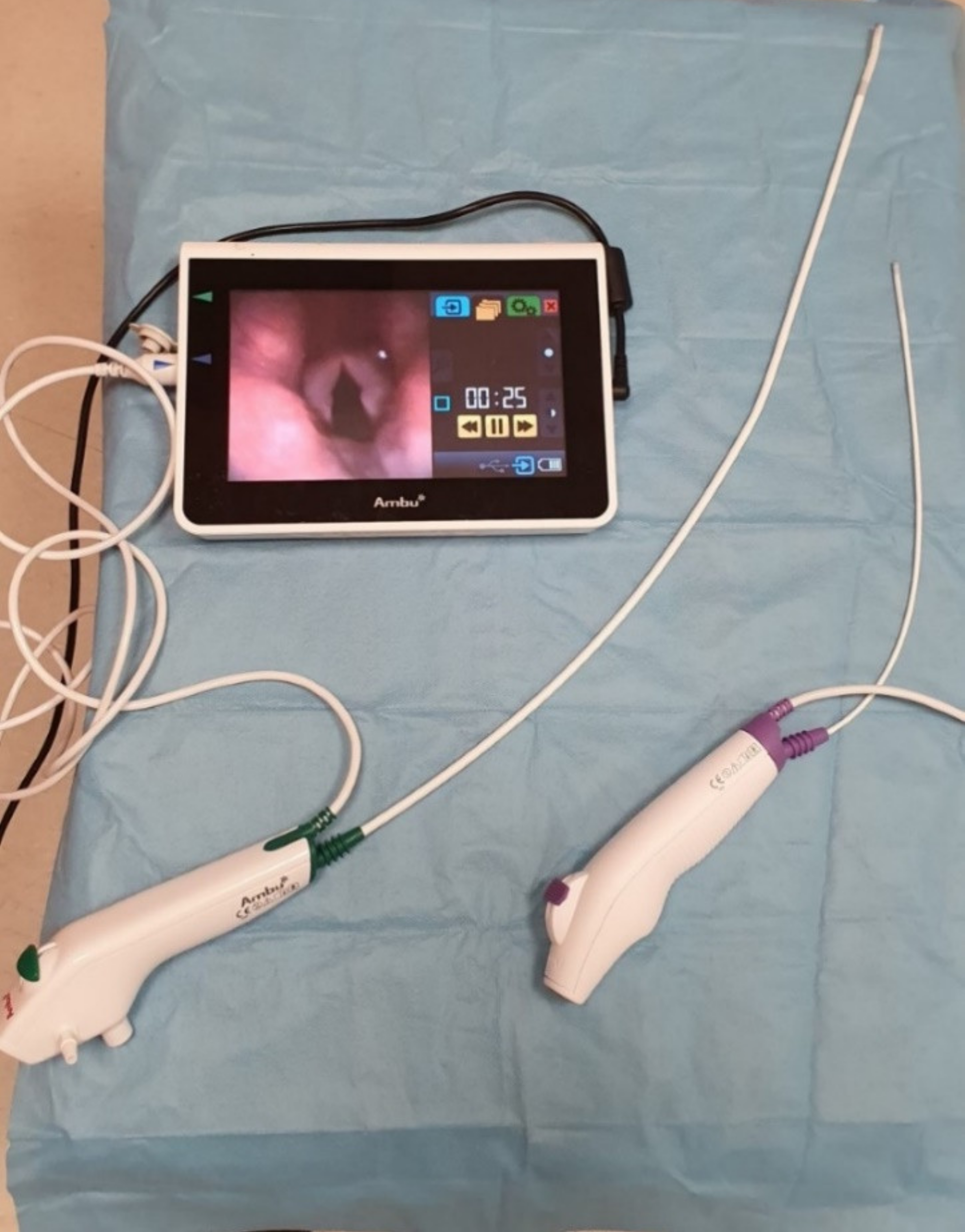 Diagnostics 11 00575 g005 Diagnostics 11 00575 g005