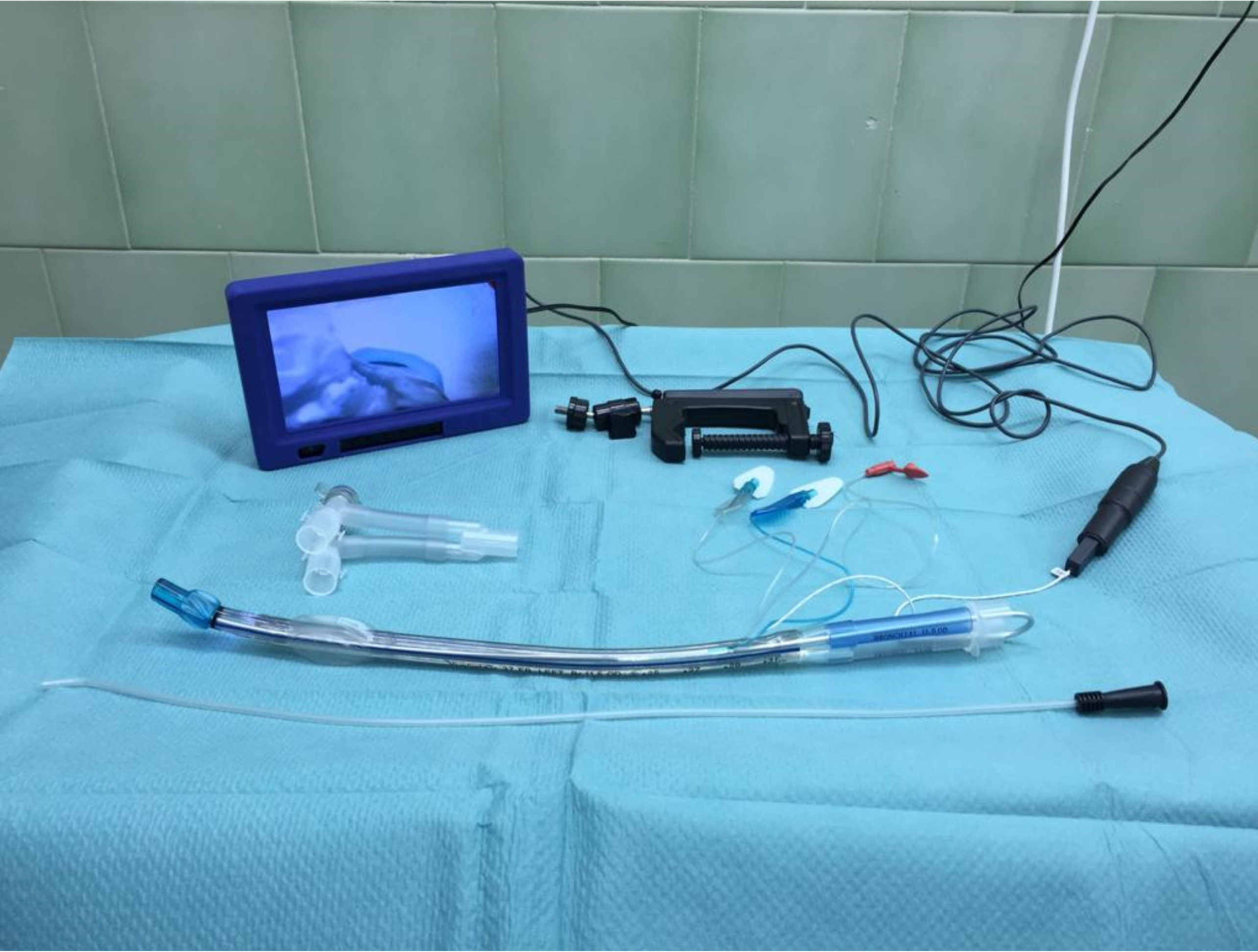 Diagnostics 11 00575 g006 Diagnostics 11 00575 g006