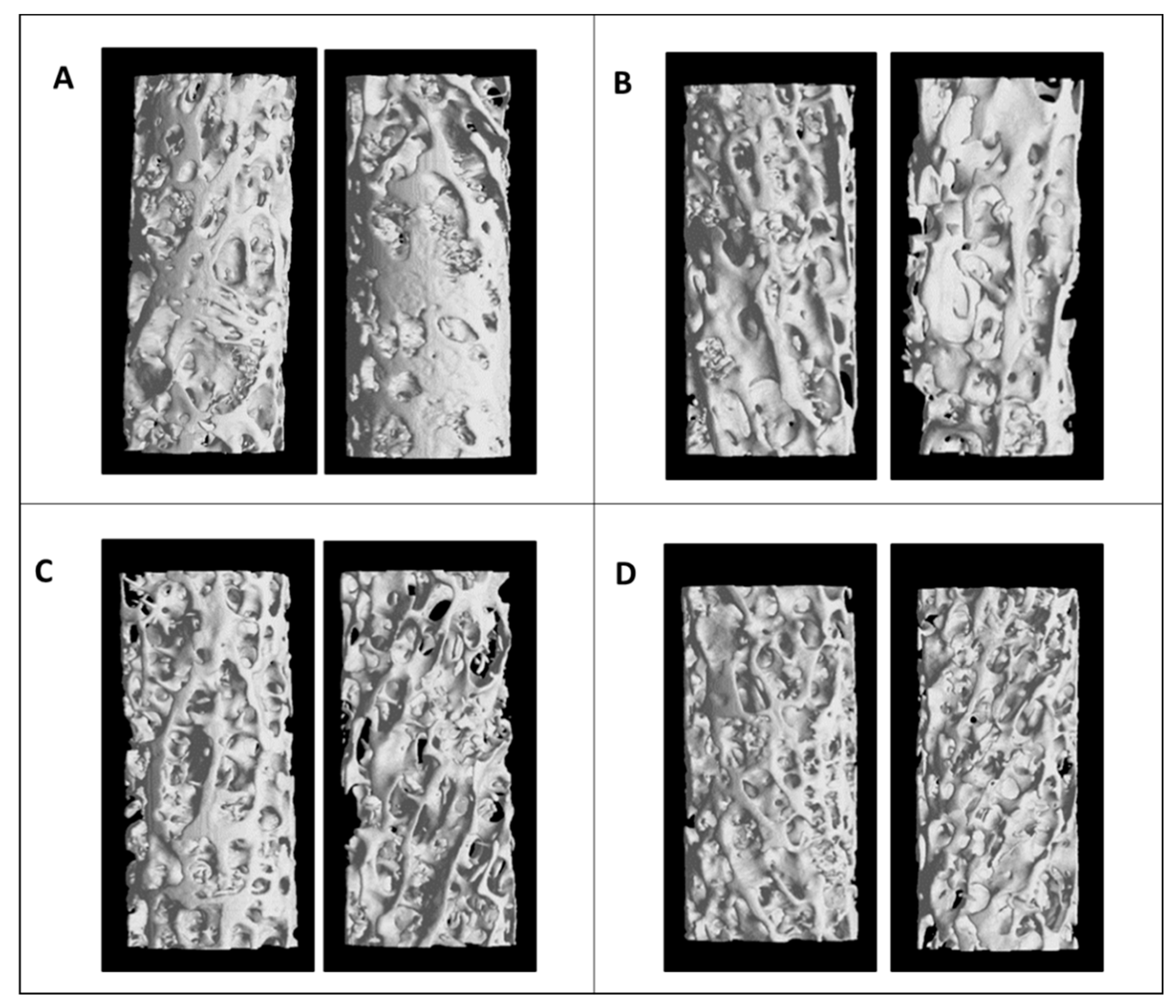 Diagnostics 11 00577 g002 Diagnostics 11 00577 g002