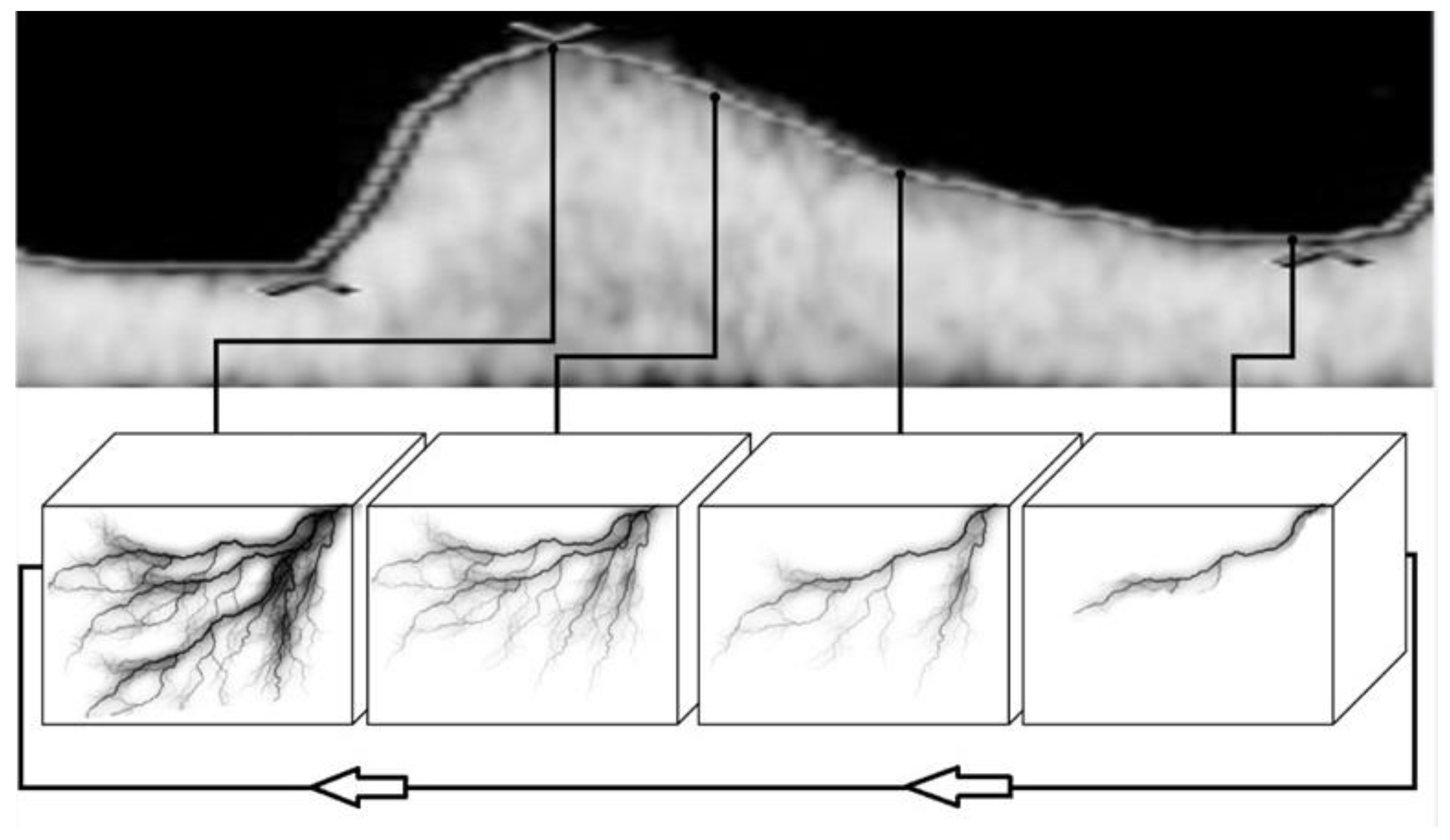 Diagnostics 11 00582 g001 Diagnostics 11 00582 g001