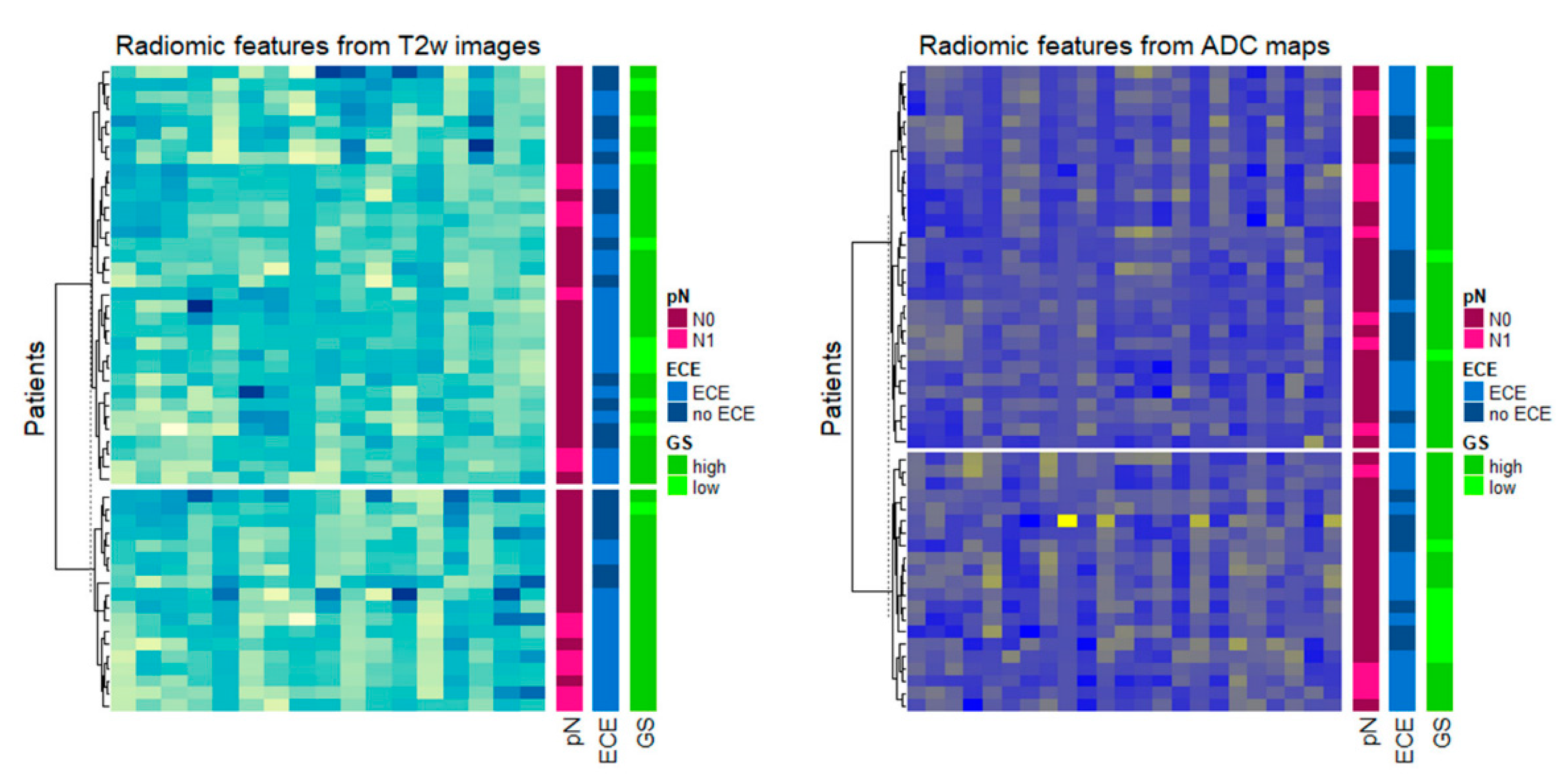 Diagnostics 11 00594 g002