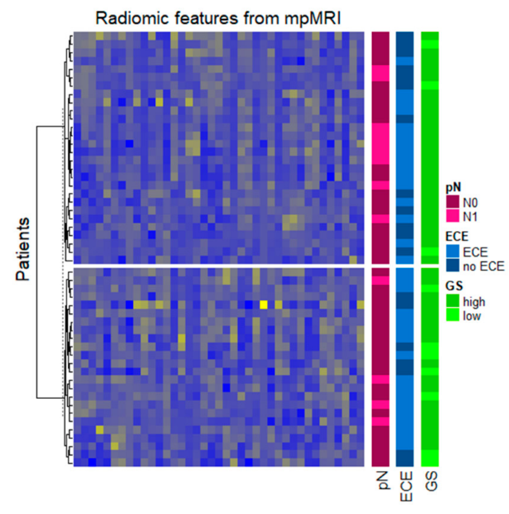 Diagnostics 11 00594 g003
