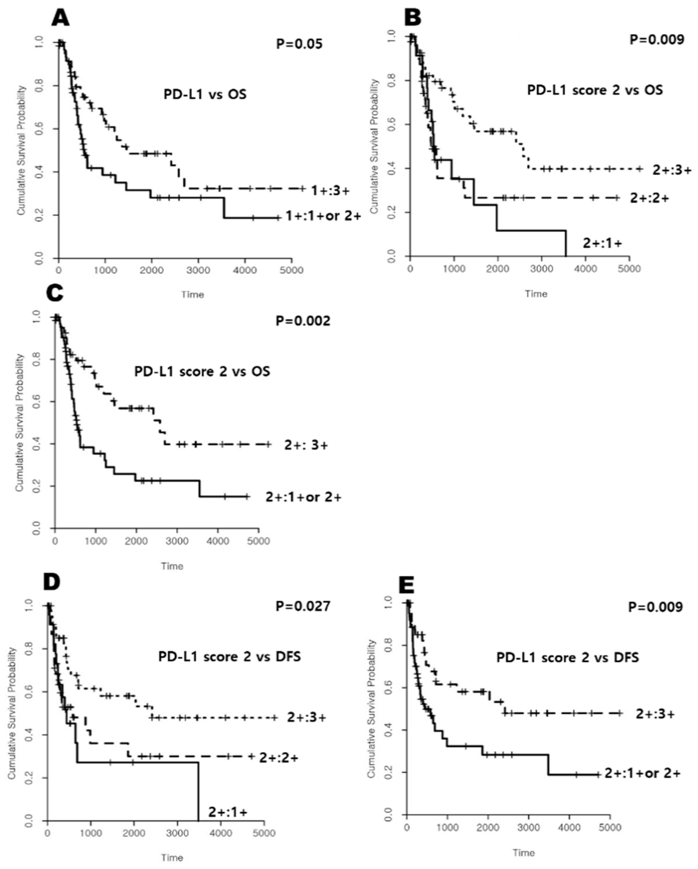 Diagnostics 11 00597 g001