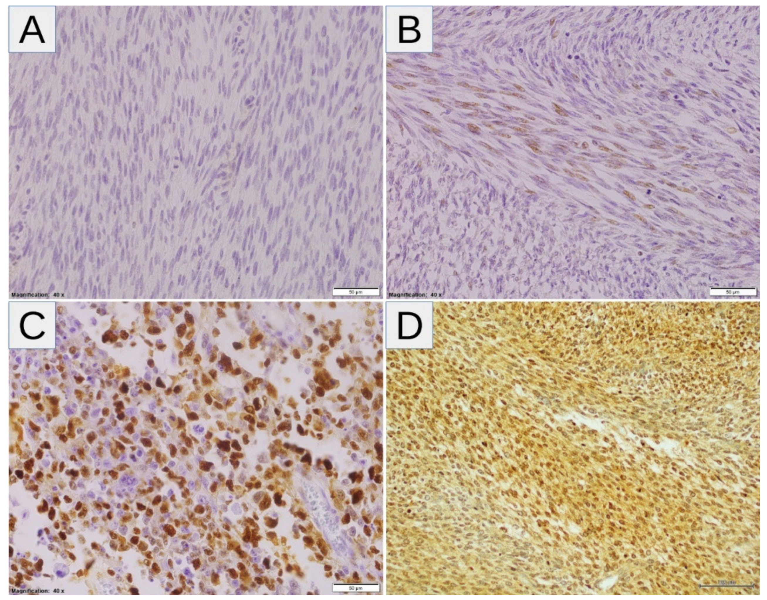 Diagnostics 11 00598 g003 Diagnostics 11 00598 g003