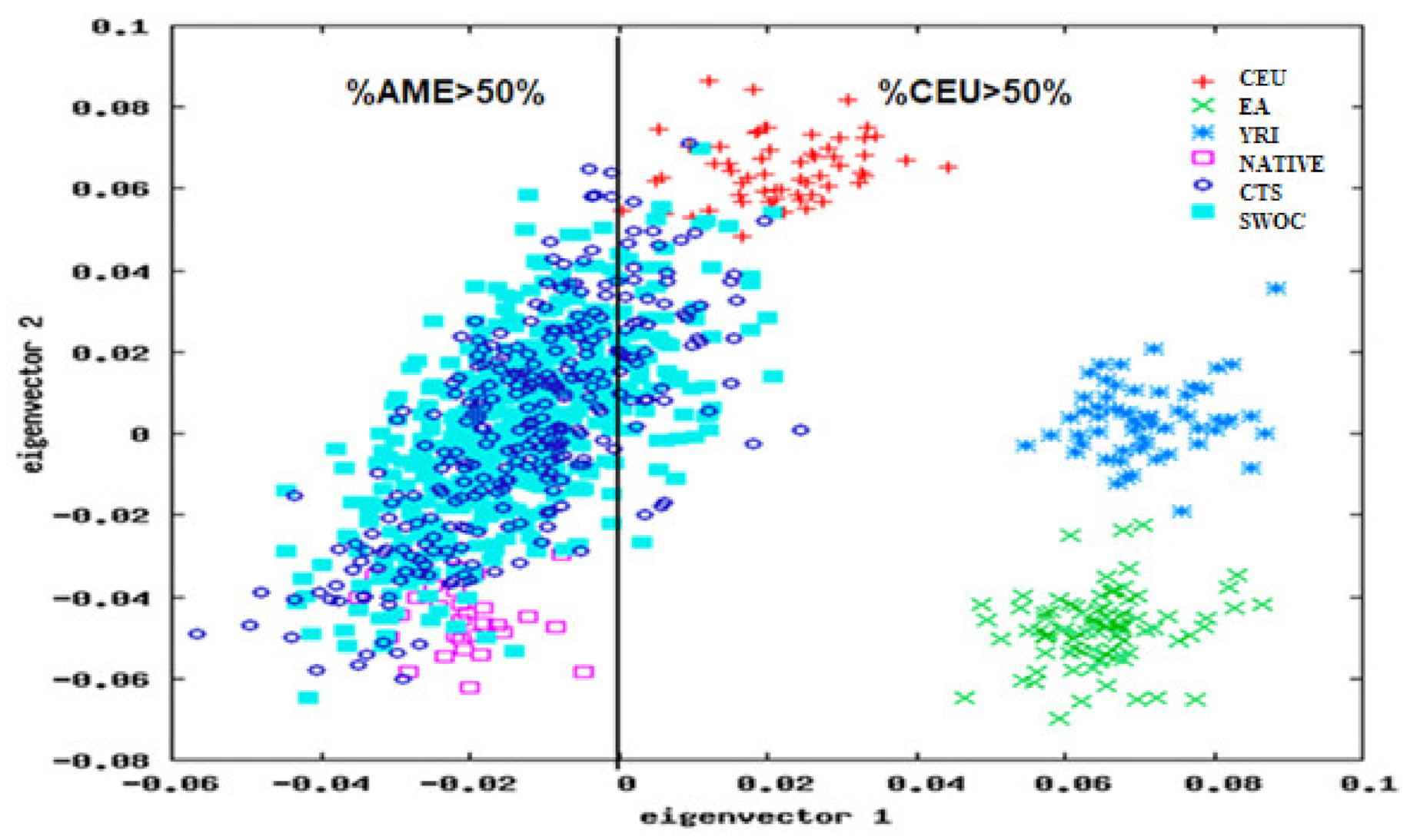 Diagnostics 11 00599 g001