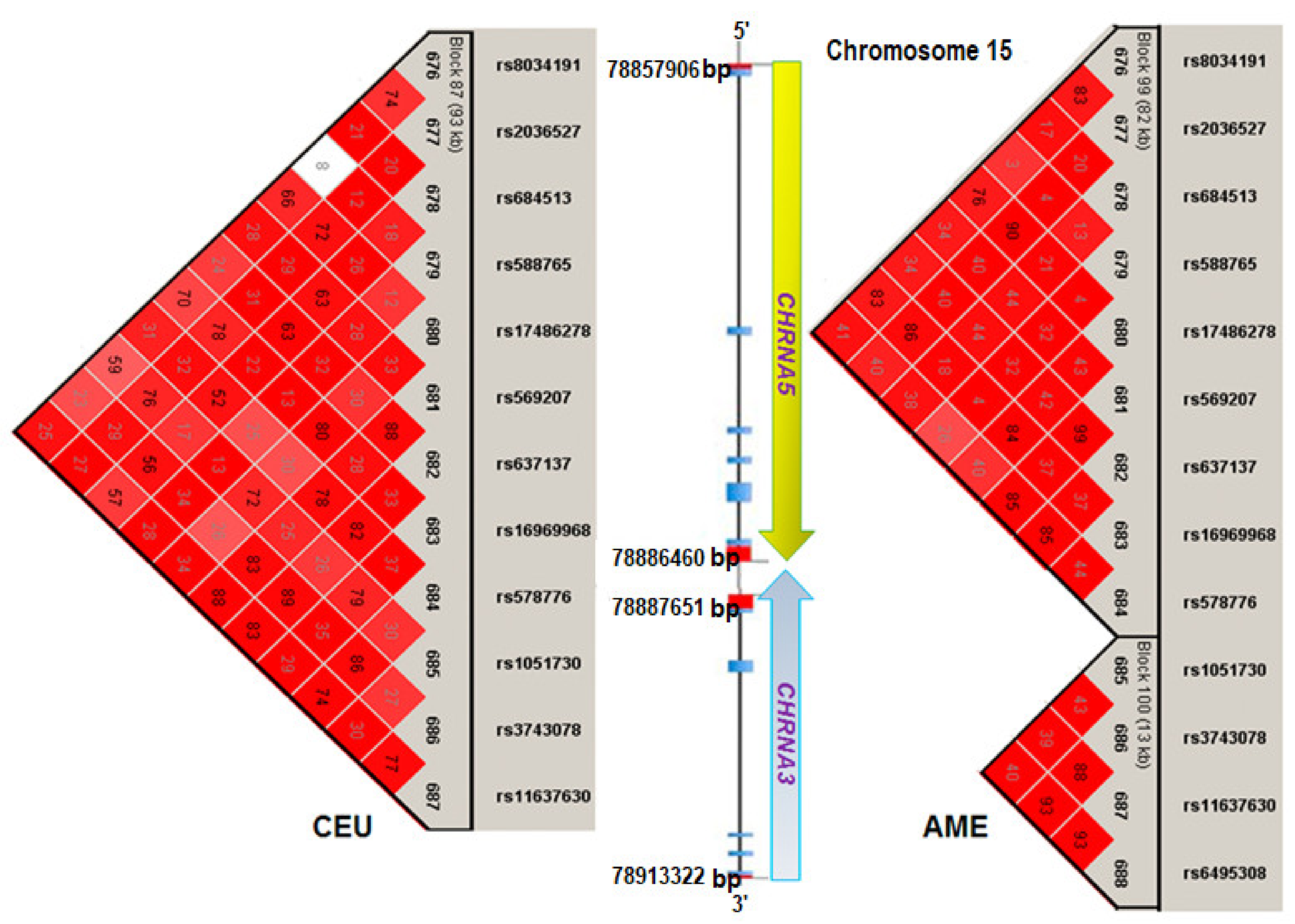 Diagnostics 11 00599 g002
