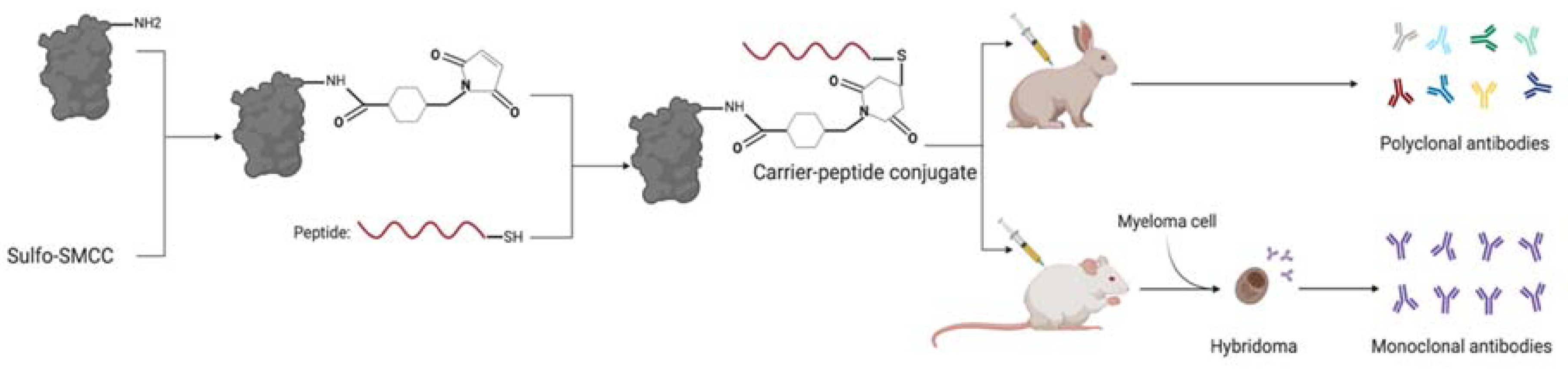 Diagnostics 11 00600 g001 Diagnostics 11 00600 g001
