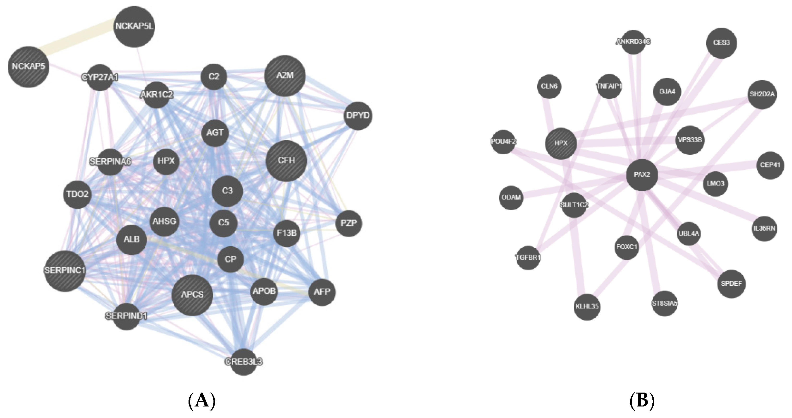 Diagnostics 11 00601 g003a Diagnostics 11 00601 g003a