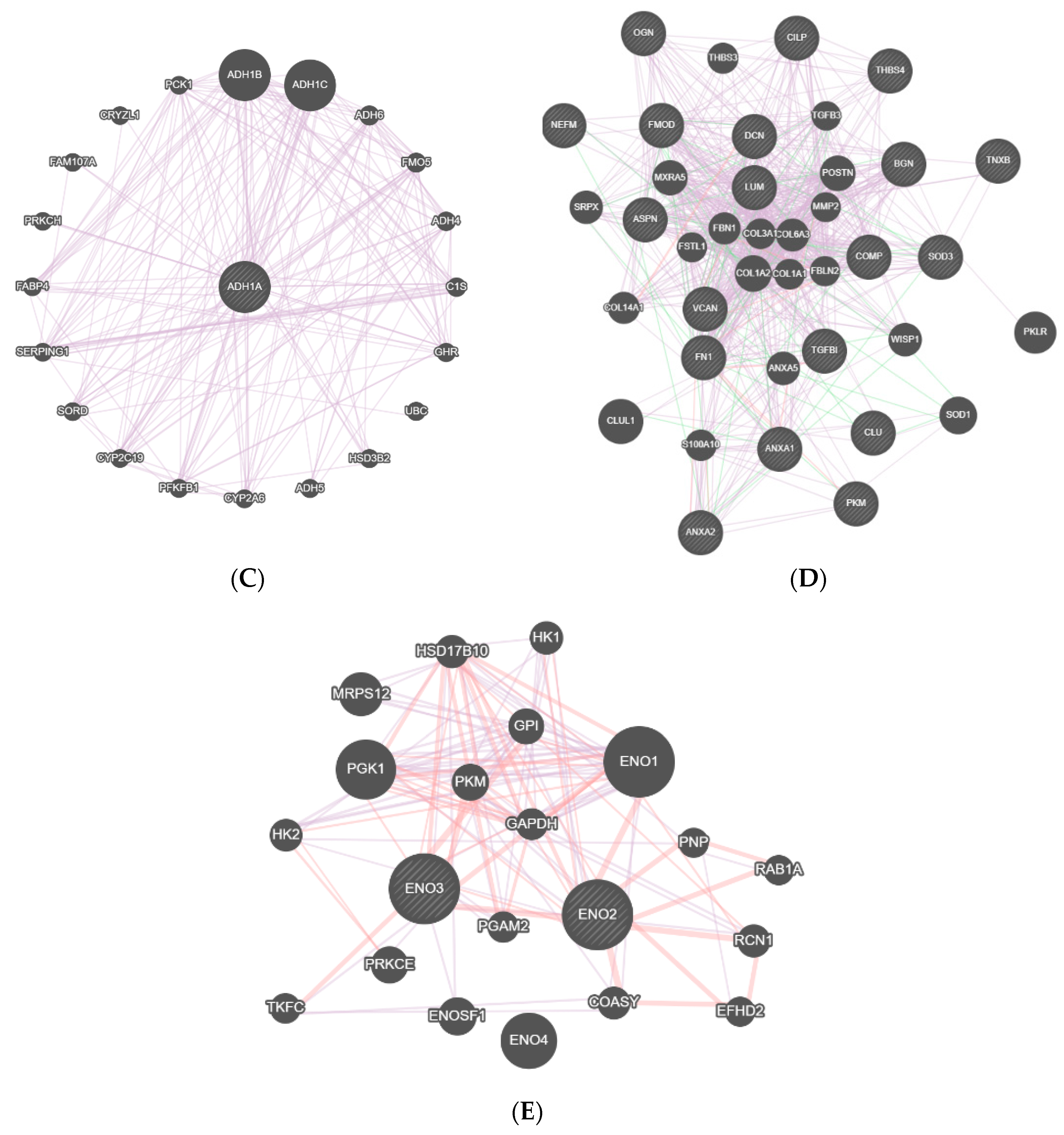 Diagnostics 11 00601 g003b Diagnostics 11 00601 g003b