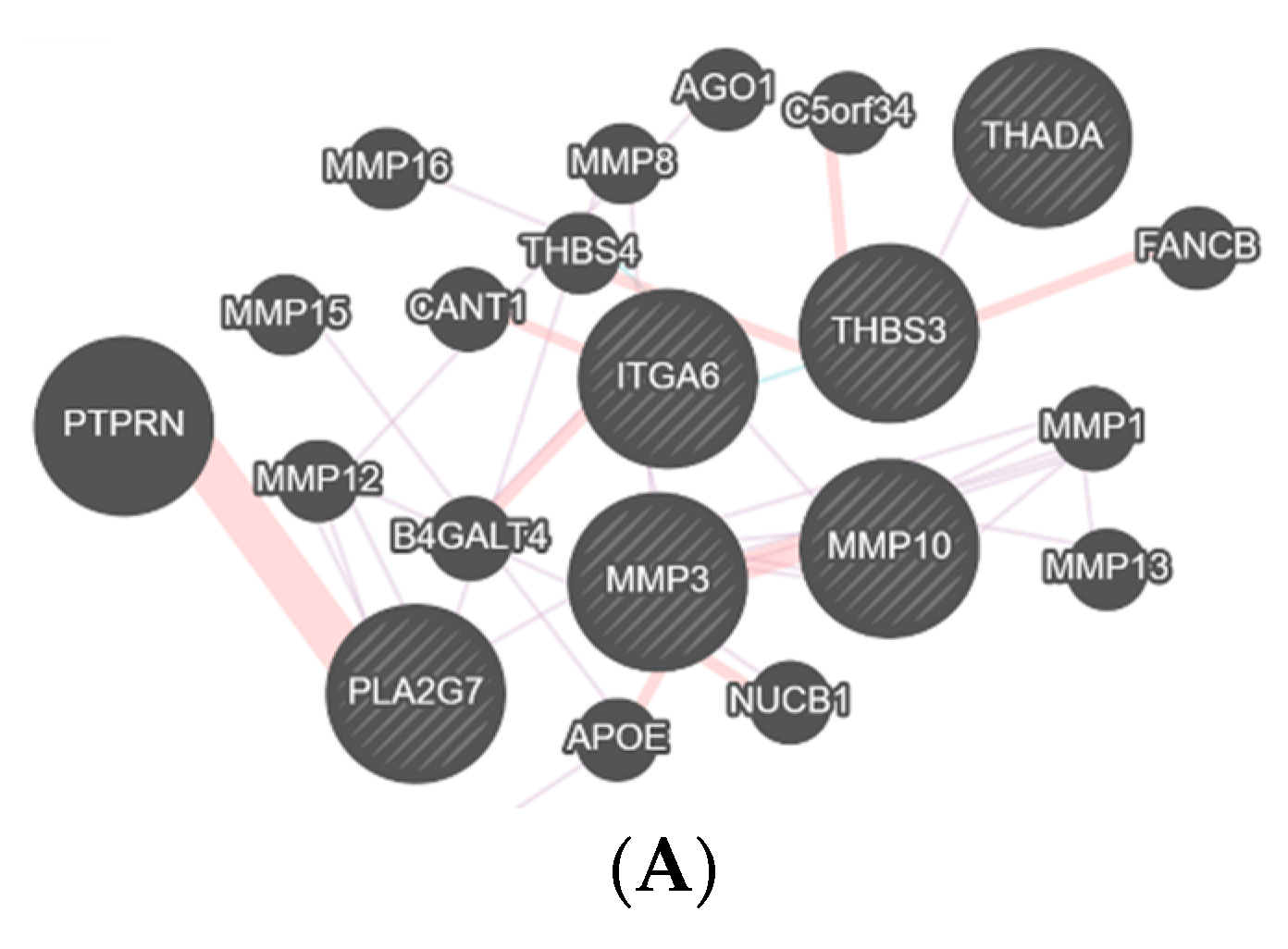 Diagnostics 11 00601 g004a Diagnostics 11 00601 g004a