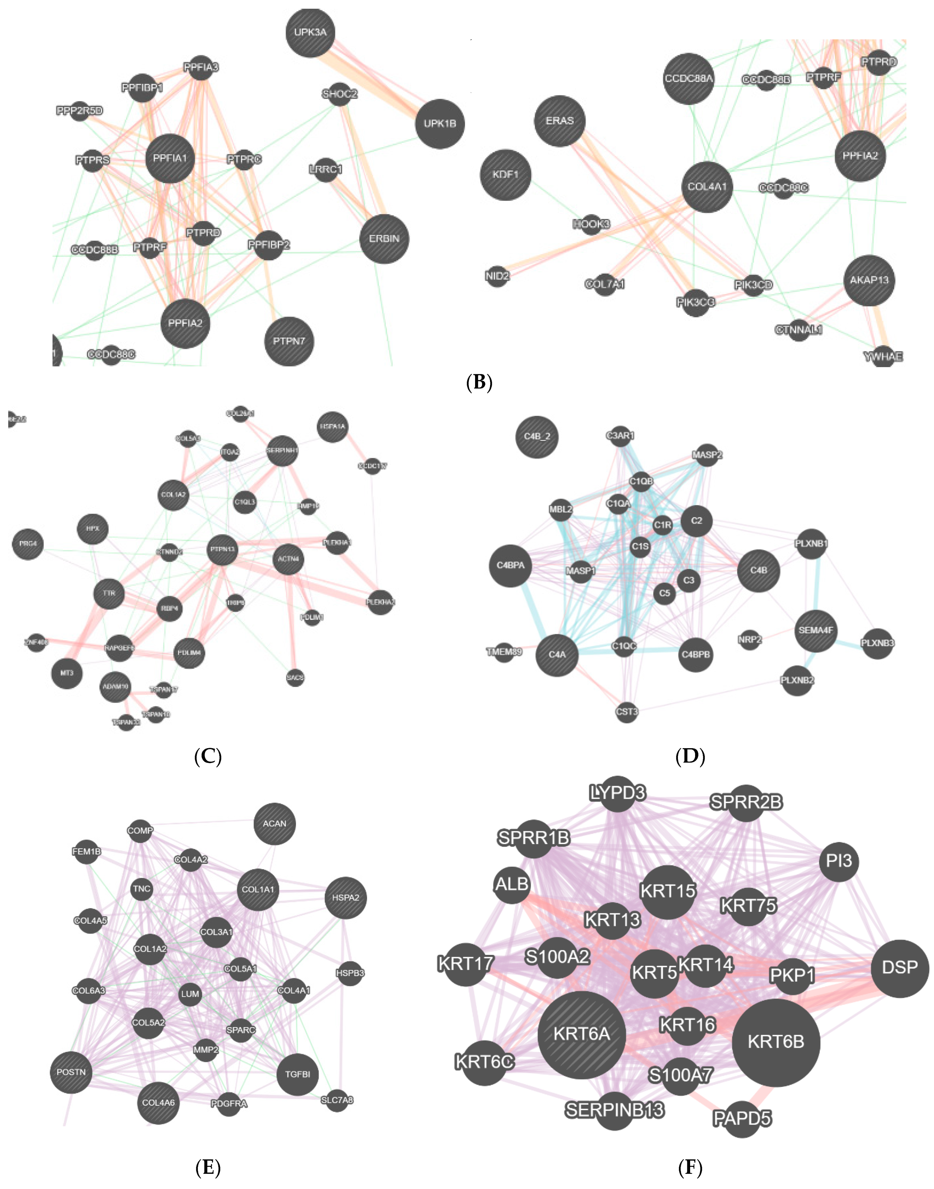 Diagnostics 11 00601 g004b Diagnostics 11 00601 g004b