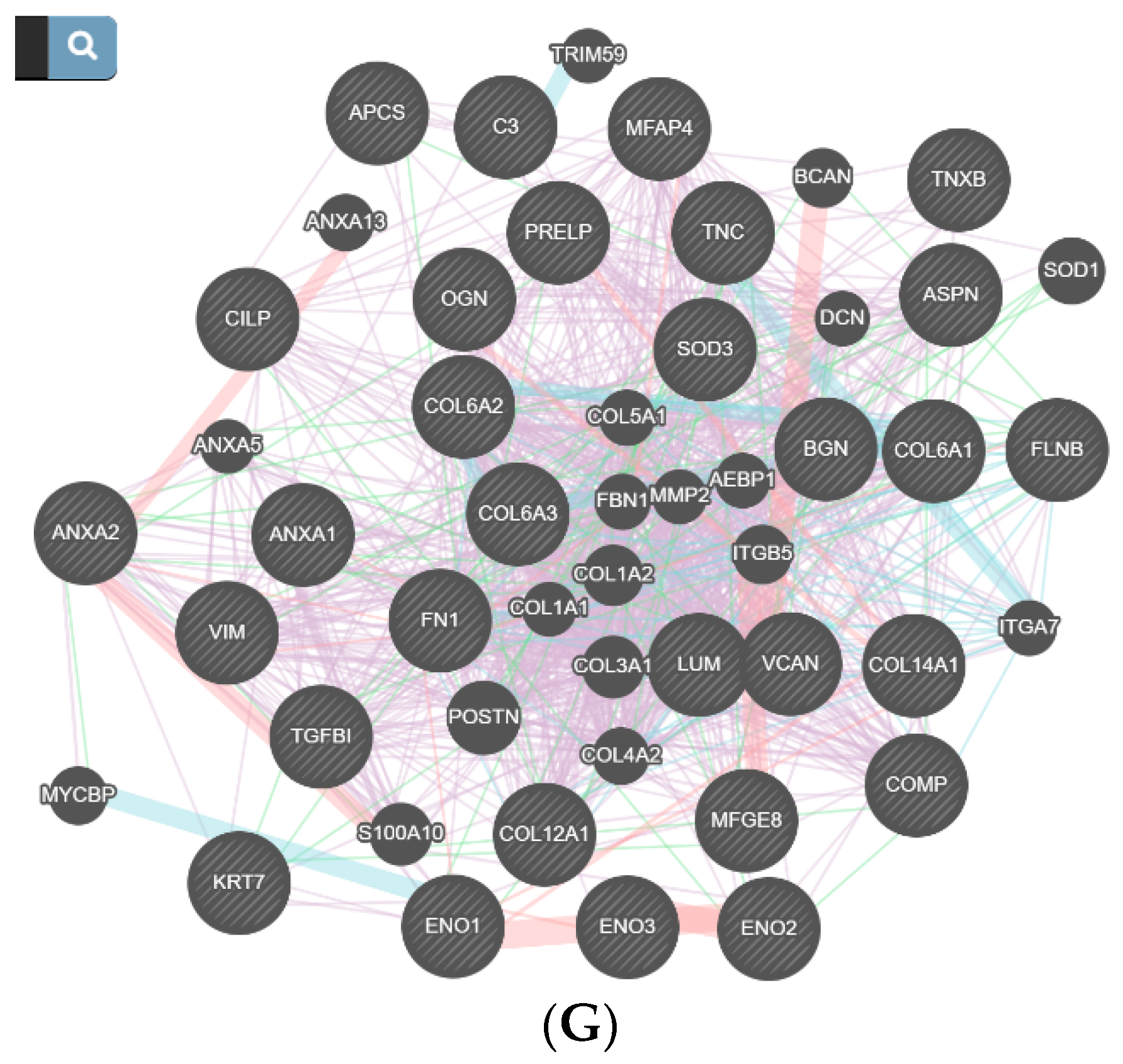 Diagnostics 11 00601 g004c Diagnostics 11 00601 g004c