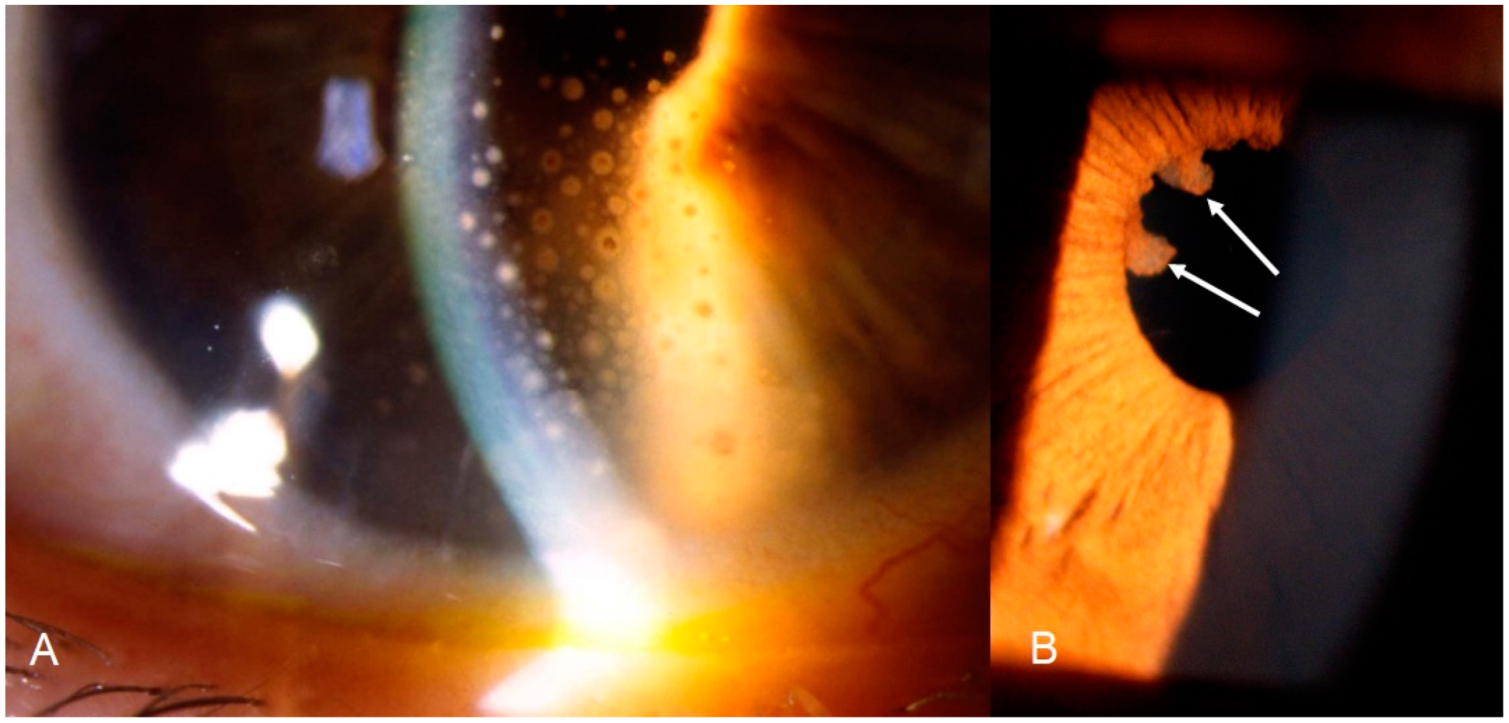 Diagnostics 11 00608 g001 Diagnostics 11 00608 g001