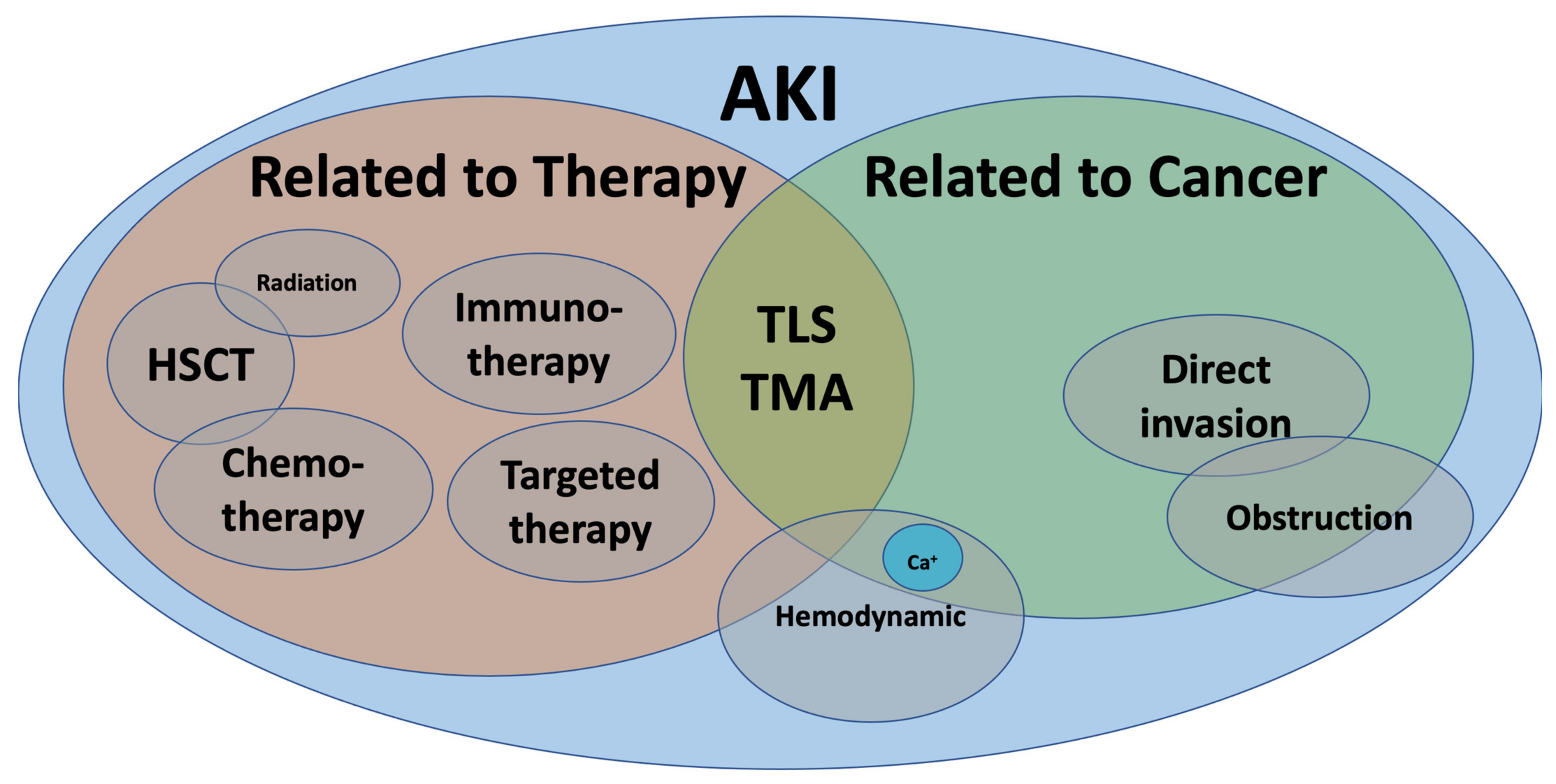 Diagnostics 11 00611 g001 Diagnostics 11 00611 g001