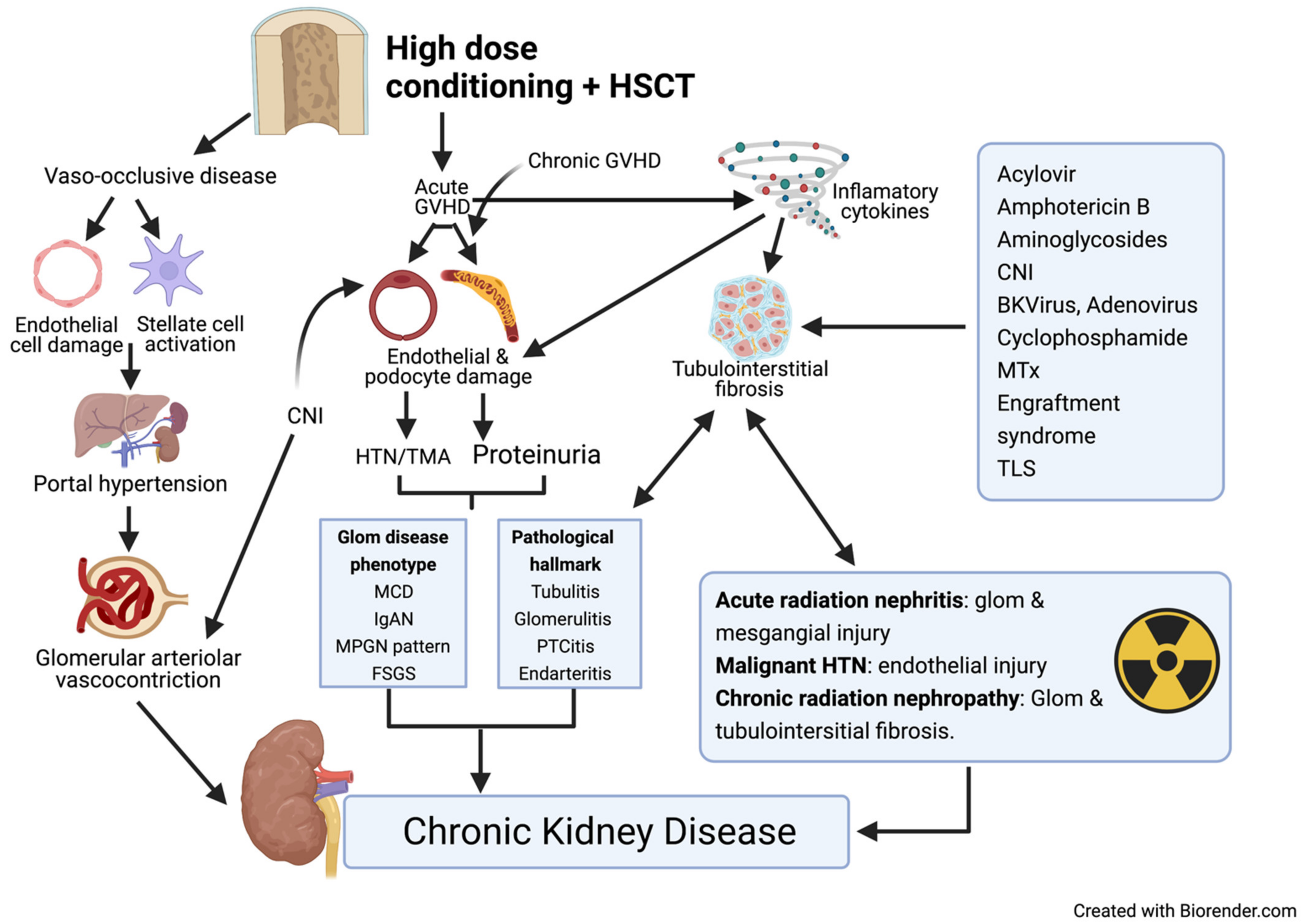 Diagnostics Free Full Text Acute Kidney Injury In The Patient With Cancer Html
