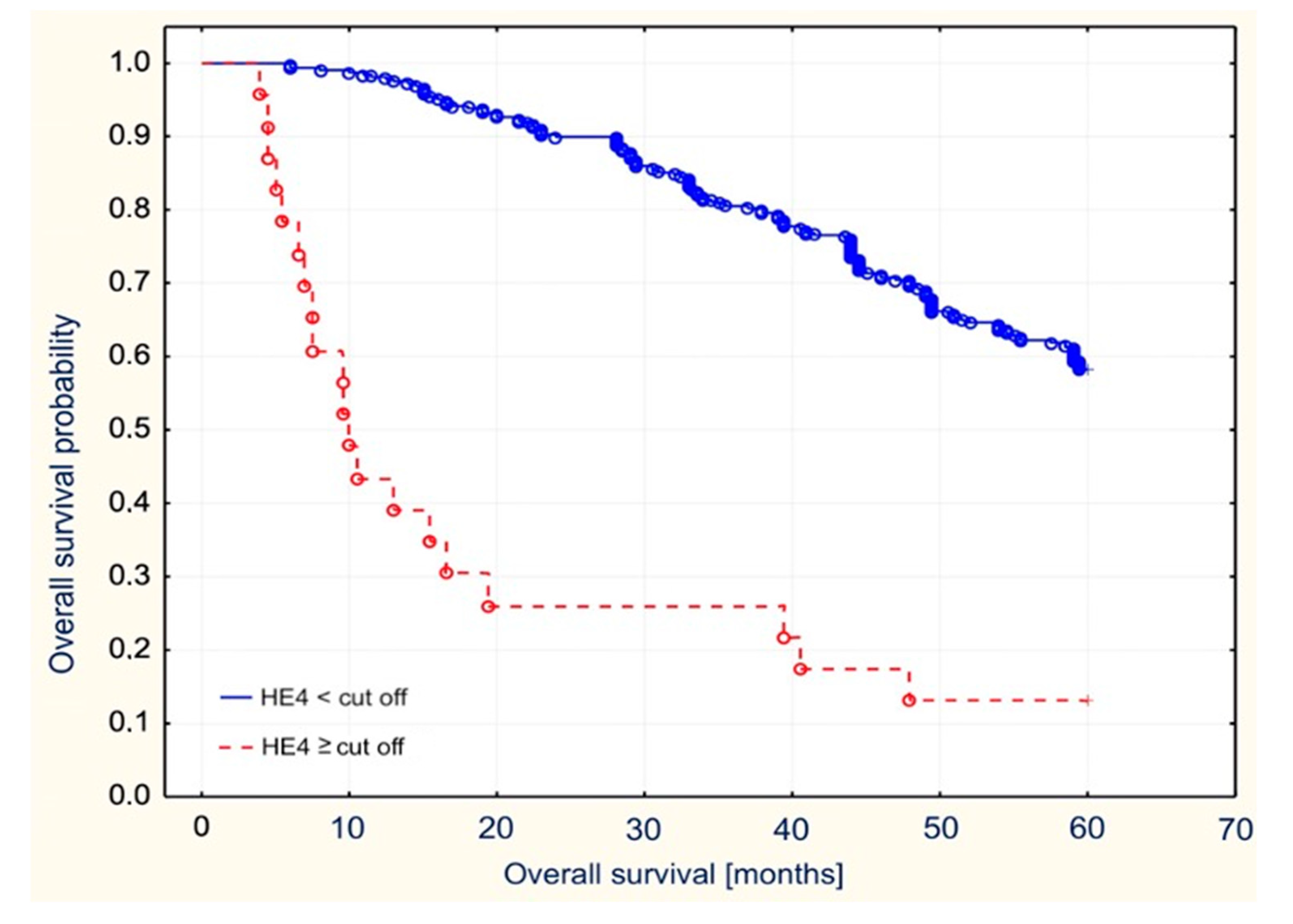 Diagnostics 11 00626 g006
