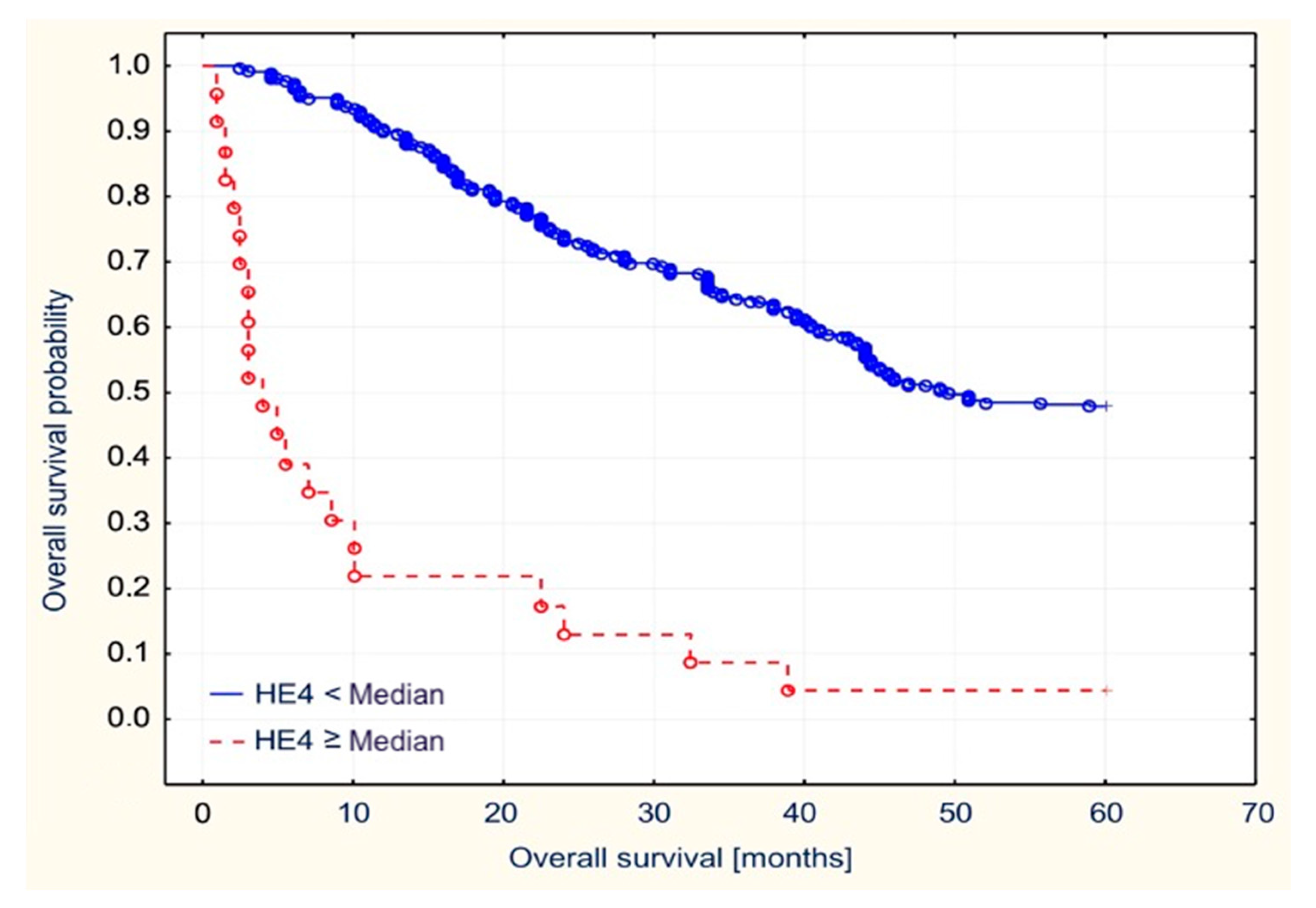 Diagnostics 11 00626 g007
