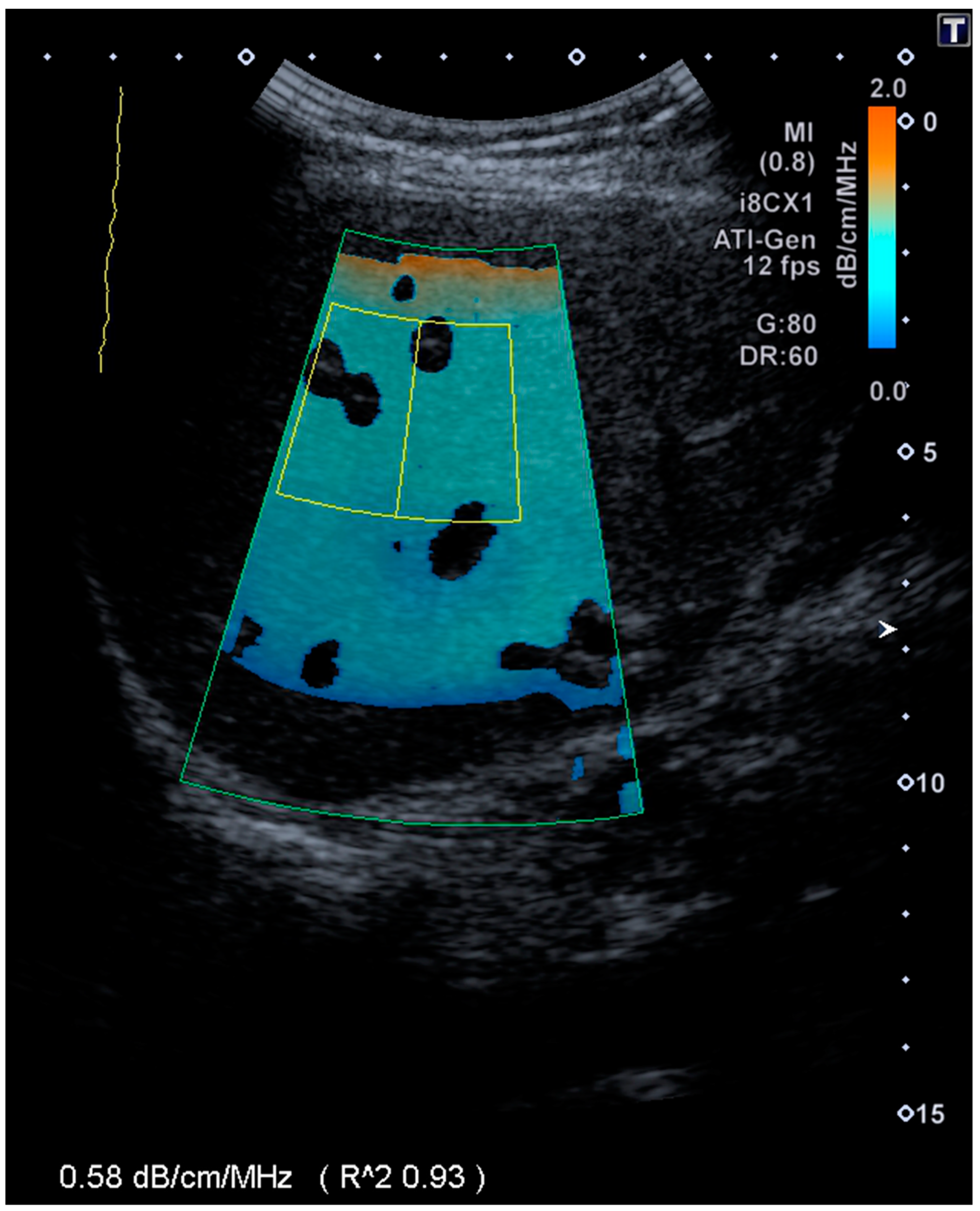 Diagnostics 11 00629 g002