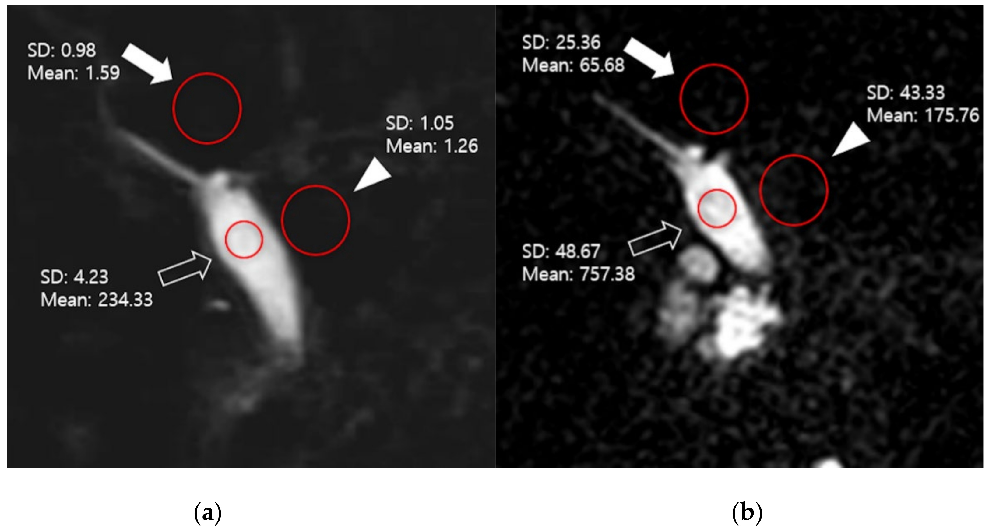 Diagnostics 11 00634 g001 Diagnostics 11 00634 g001