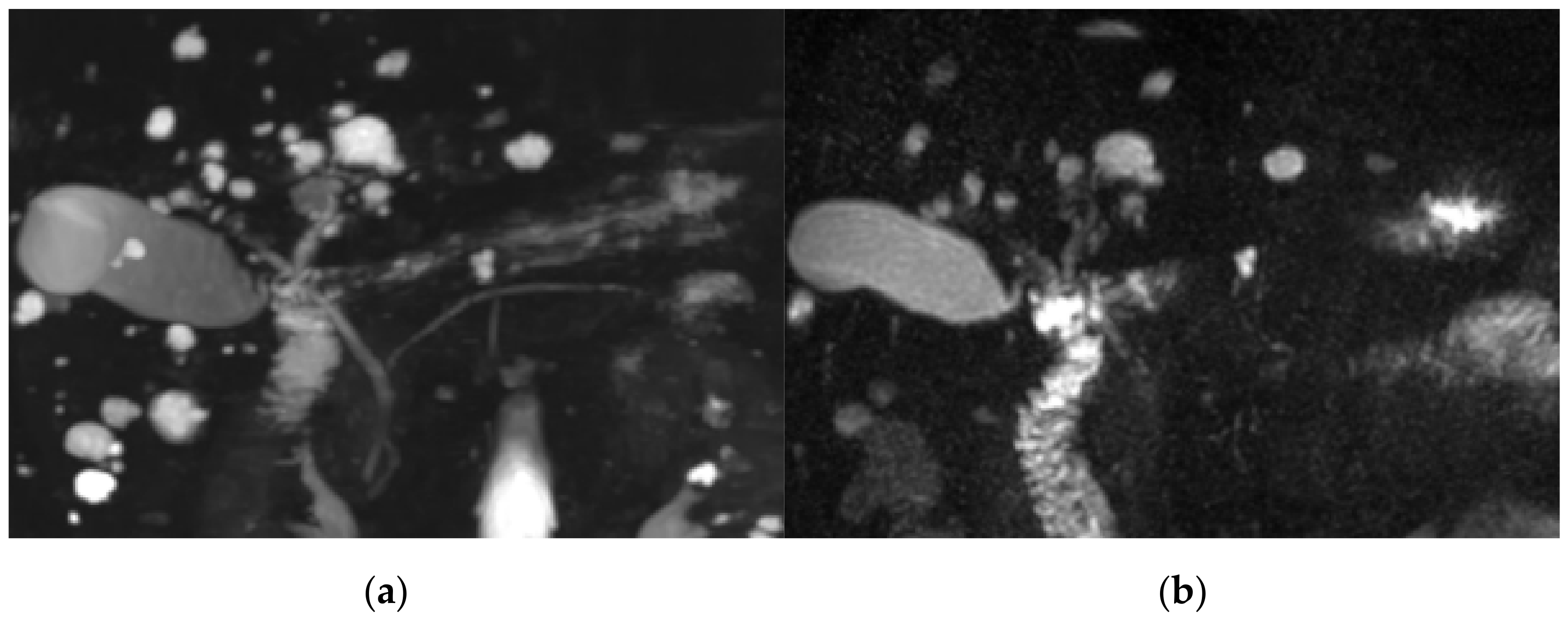 Diagnostics 11 00634 g002 Diagnostics 11 00634 g002