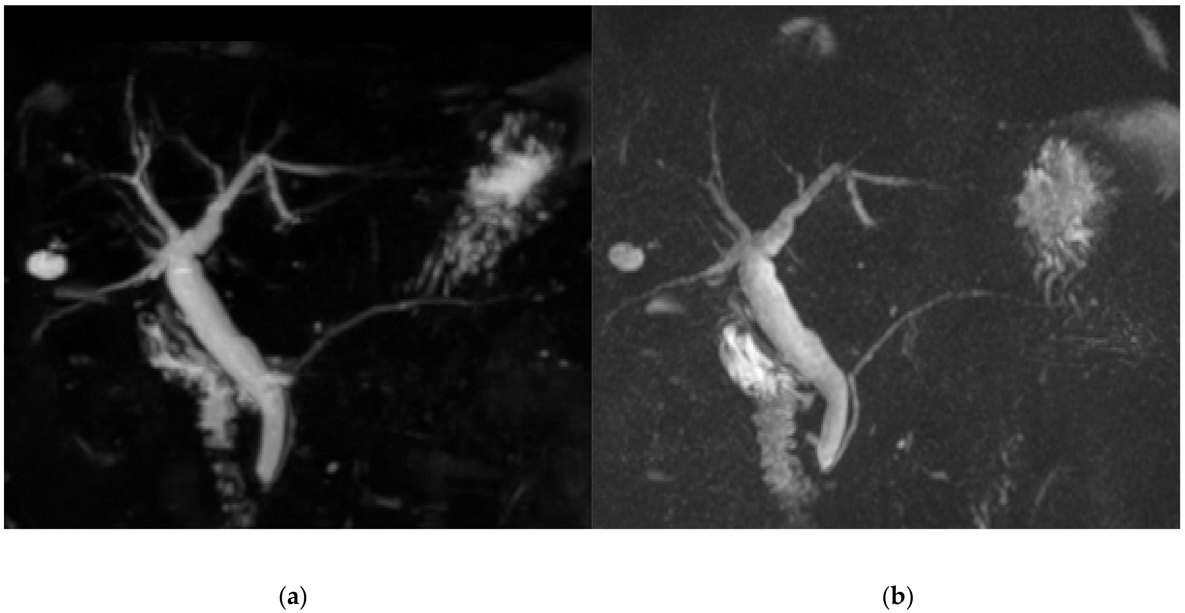 Diagnostics 11 00634 g003 Diagnostics 11 00634 g003