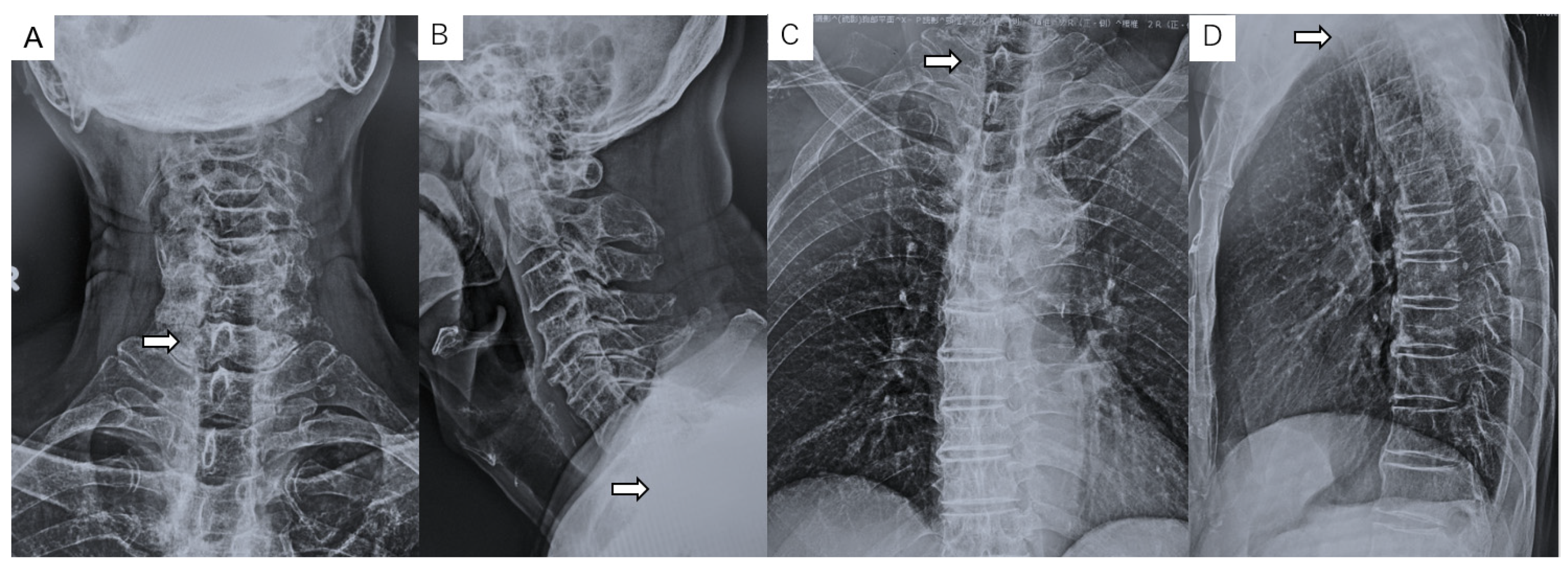 Diagnostics 11 00636 g001 Diagnostics 11 00636 g001