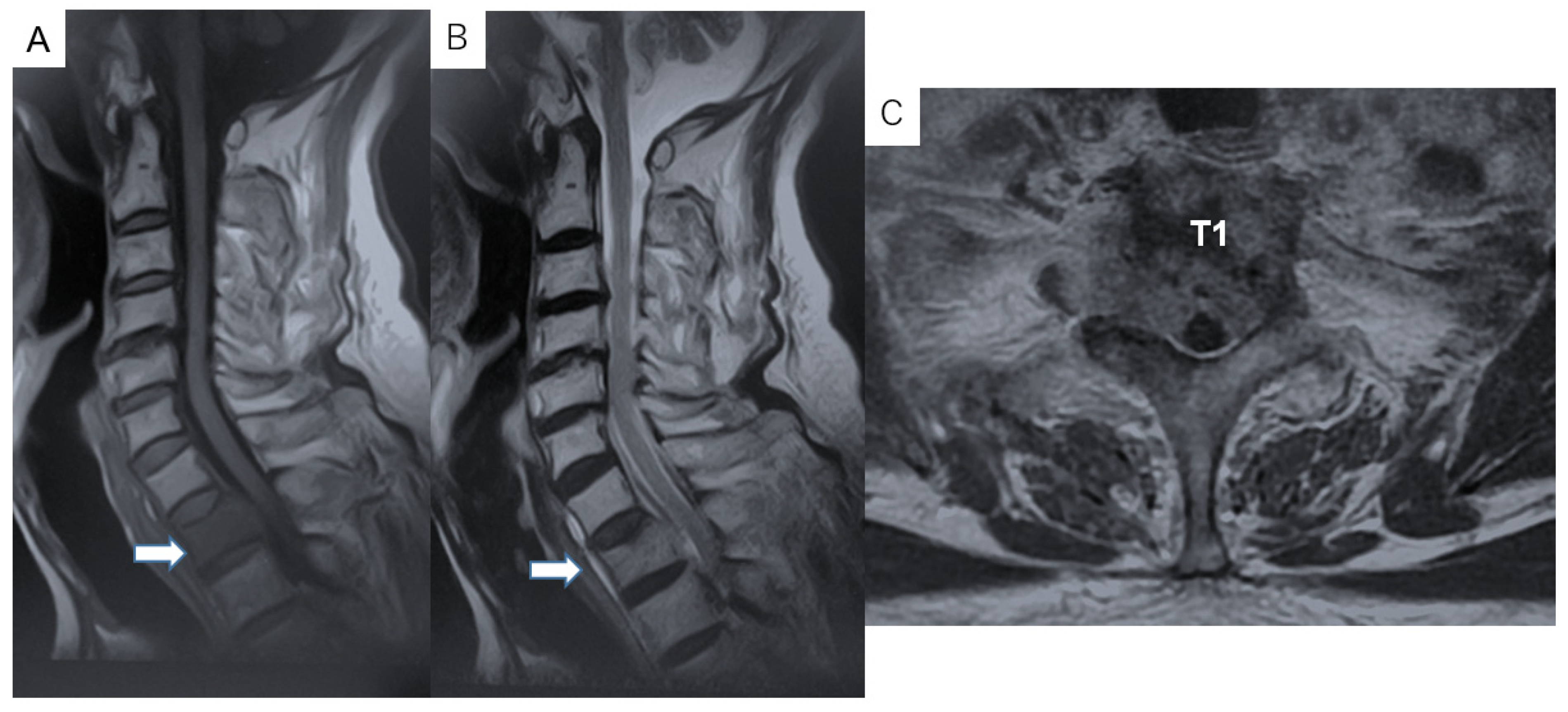 Diagnostics 11 00636 g003 Diagnostics 11 00636 g003