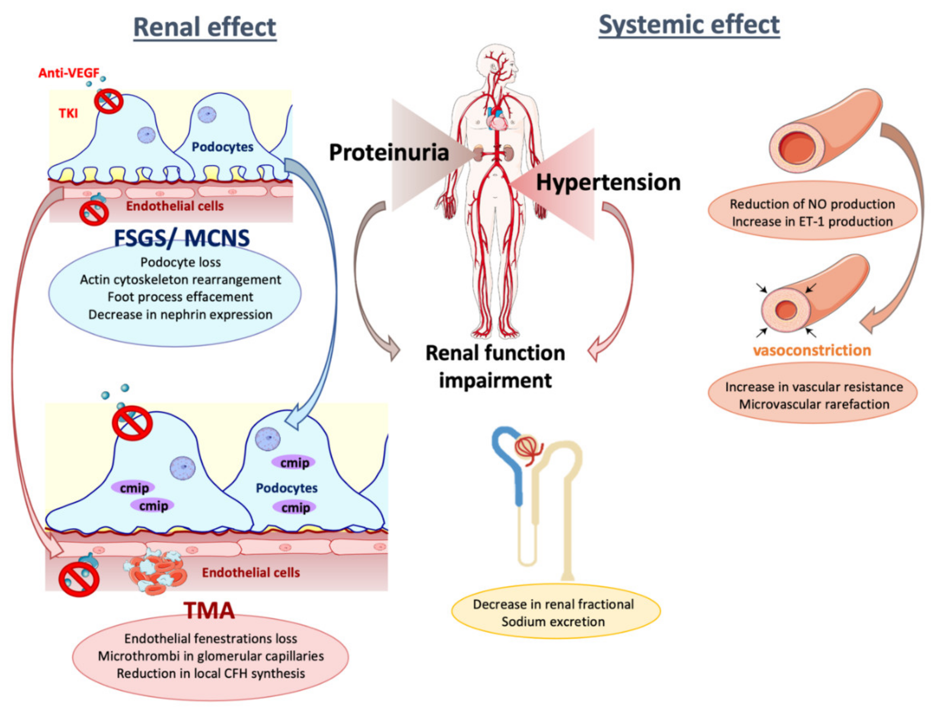 Diagnostics 11 00640 g002