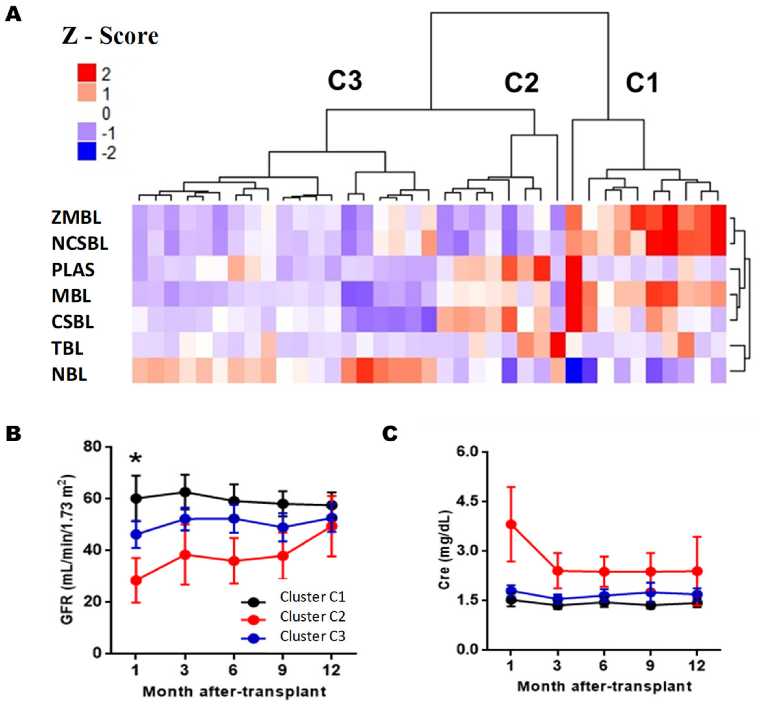 Diagnostics 11 00641 g005