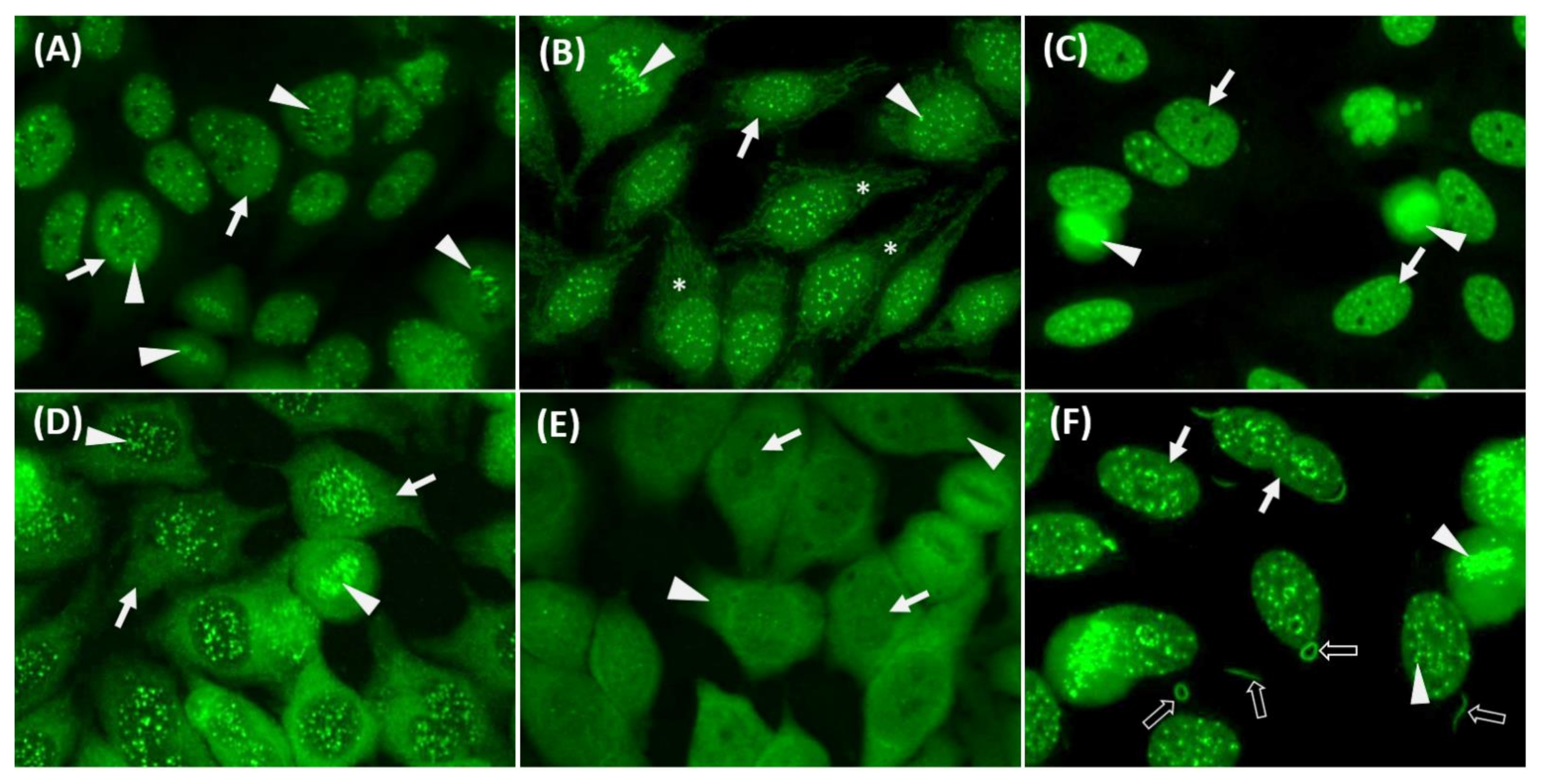 Diagnostics 11 00642 g002 Diagnostics 11 00642 g002