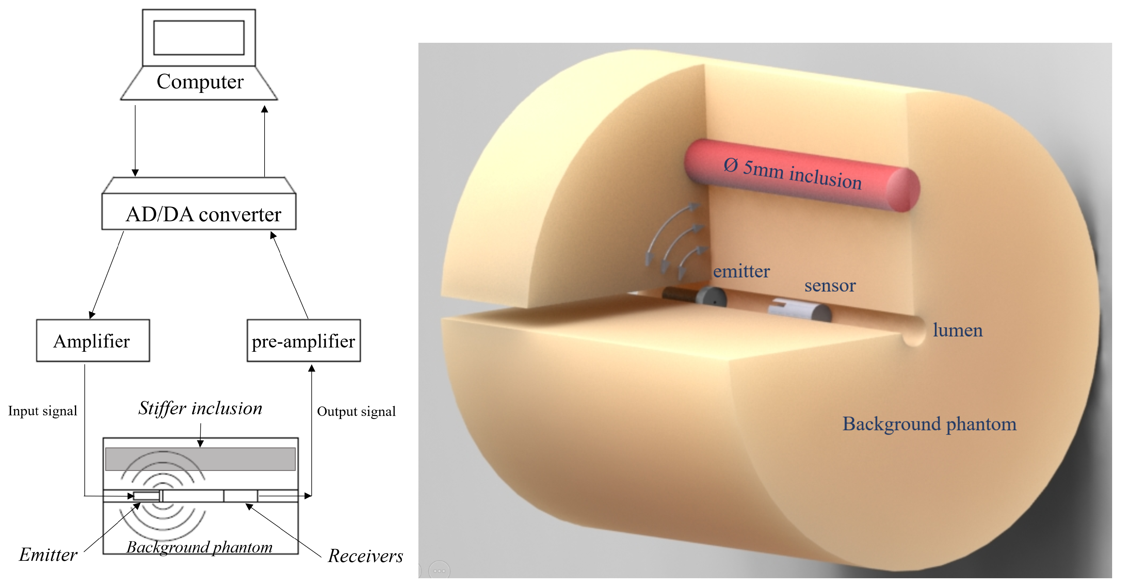 Diagnostics 11 00645 g002 Diagnostics 11 00645 g002