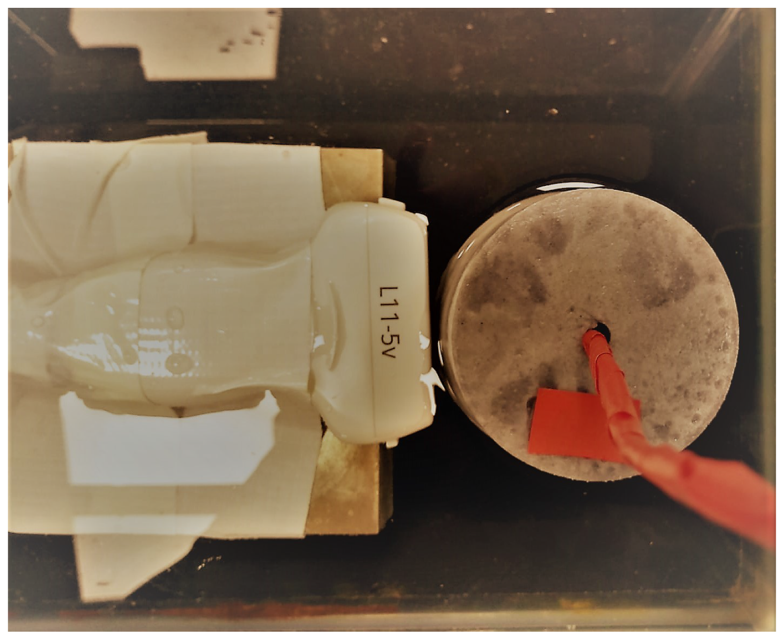 Diagnostics 11 00645 g004 Diagnostics 11 00645 g004