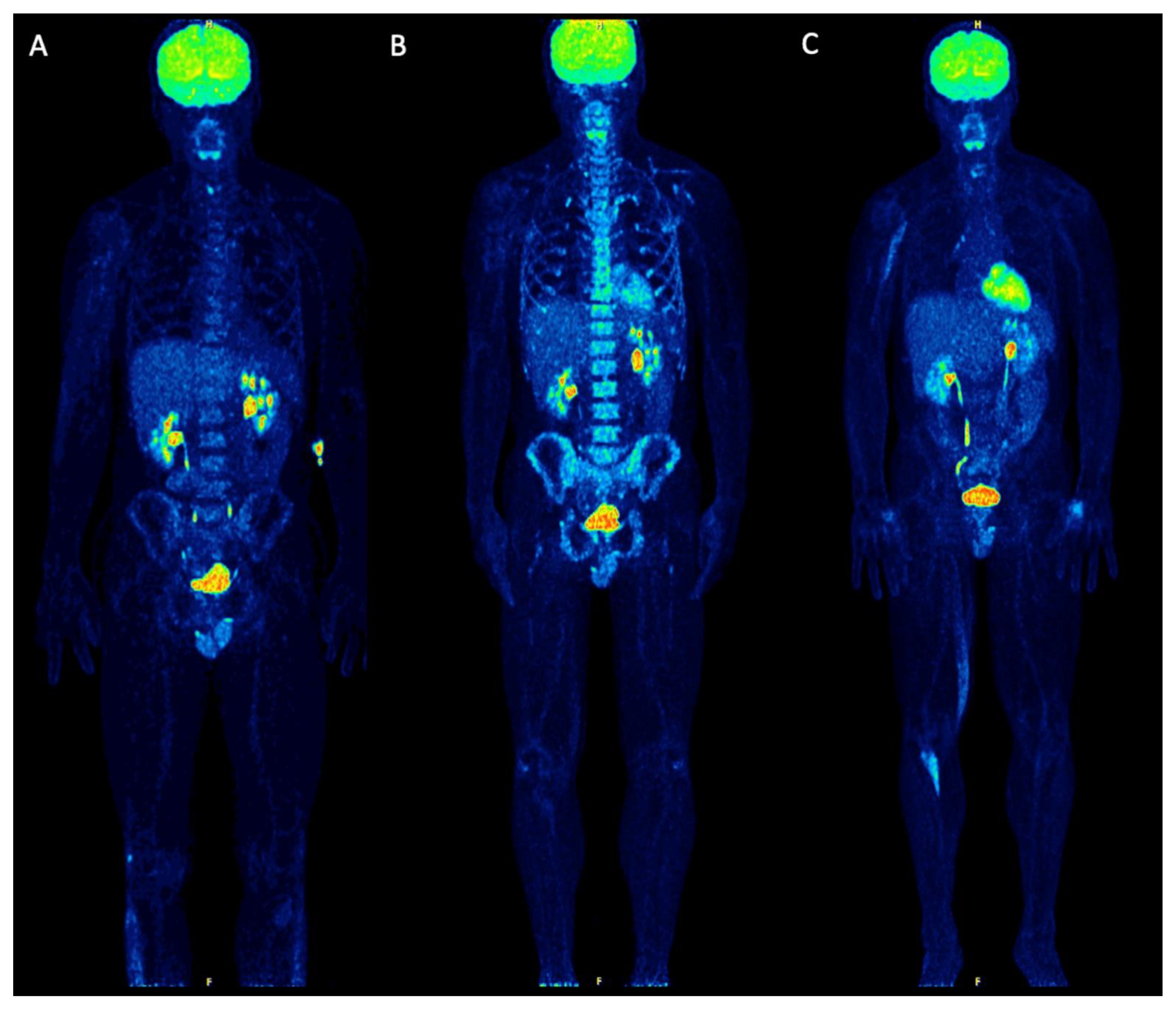 Diagnostics 11 00649 g002 Diagnostics 11 00649 g002