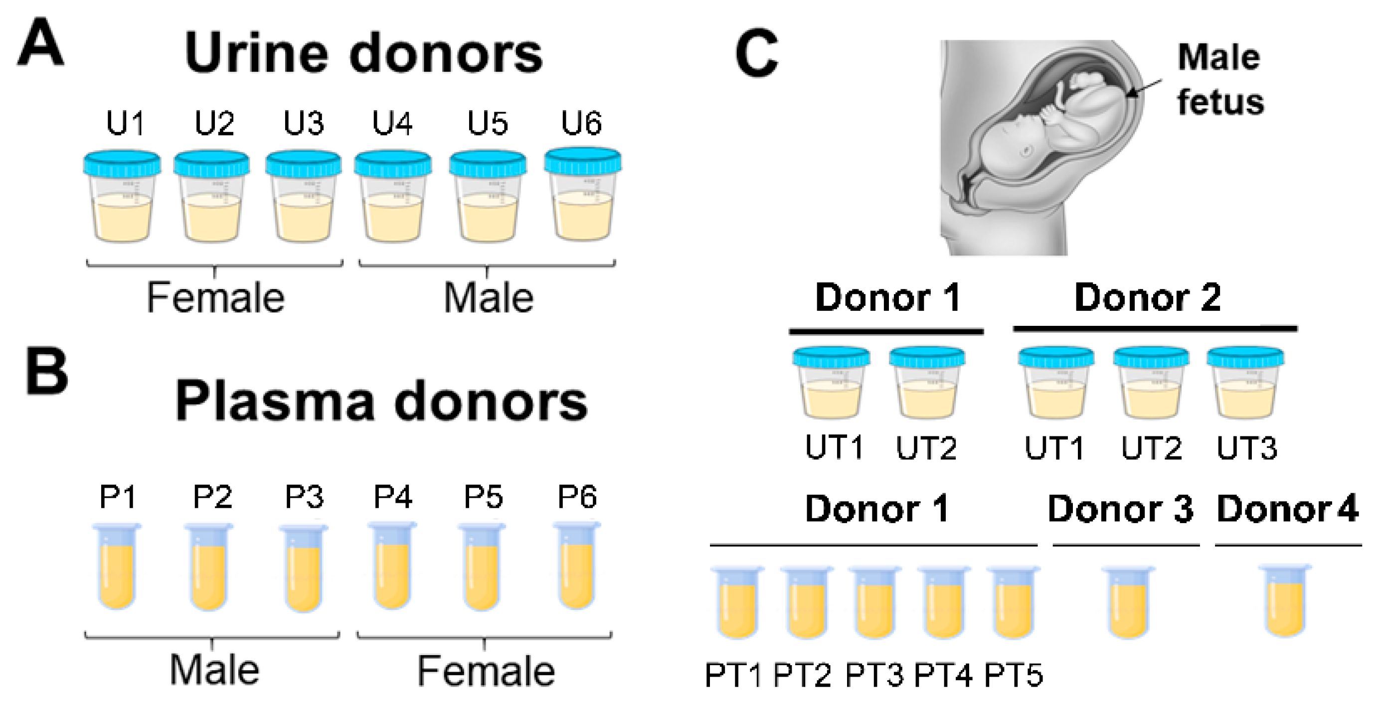 Diagnostics 11 00650 g001 Diagnostics 11 00650 g001