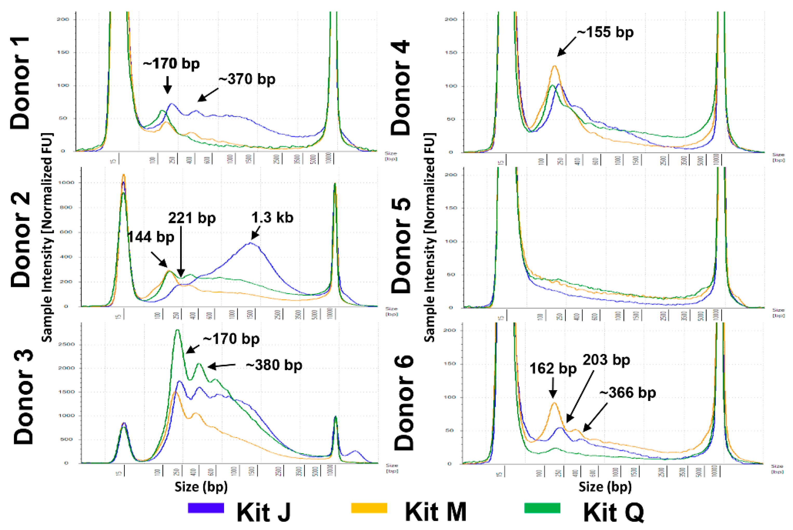 Diagnostics 11 00650 g002 Diagnostics 11 00650 g002