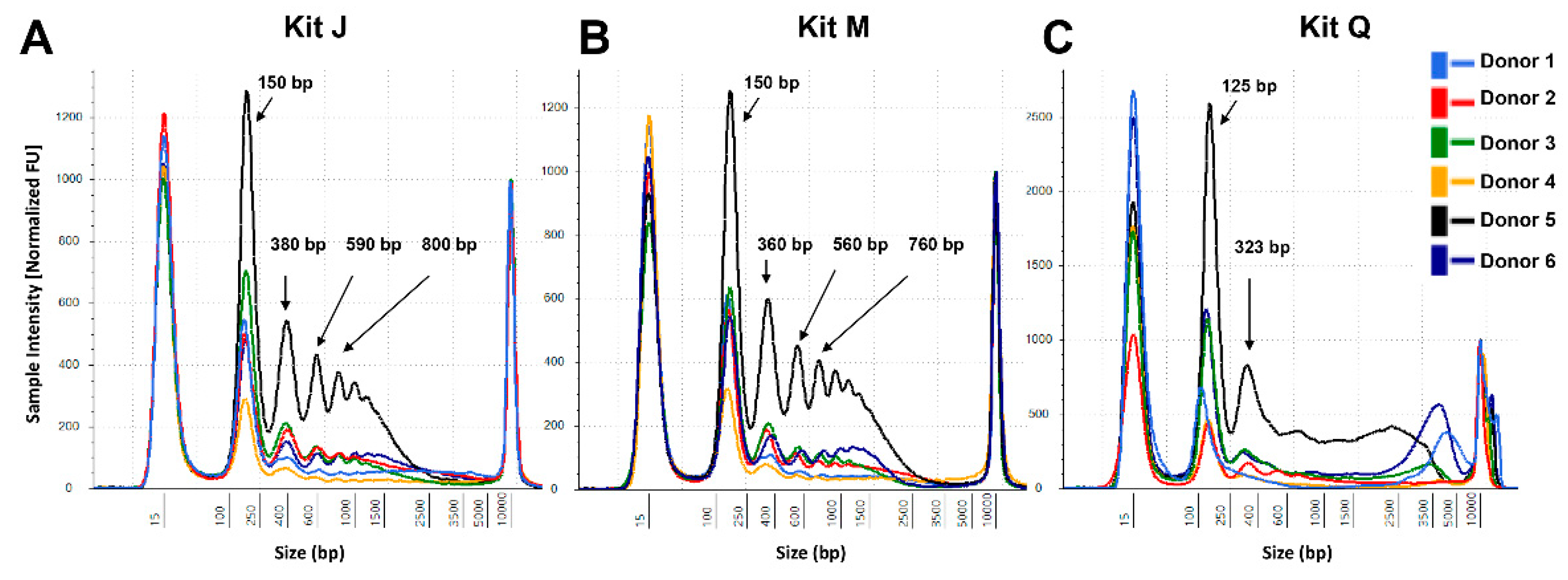 Diagnostics 11 00650 g004 Diagnostics 11 00650 g004