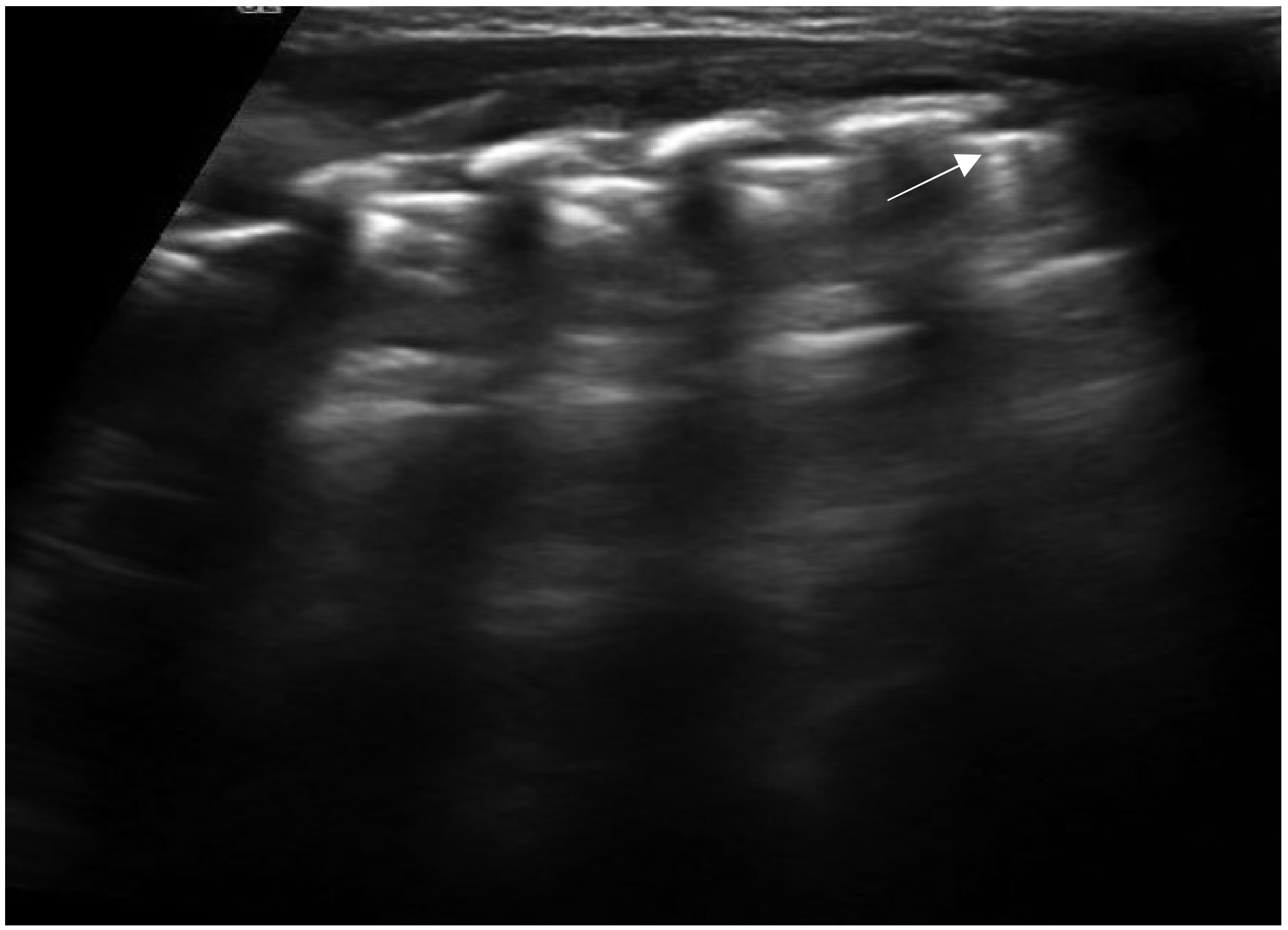 Diagnostics 11 00652 g002 Diagnostics 11 00652 g002