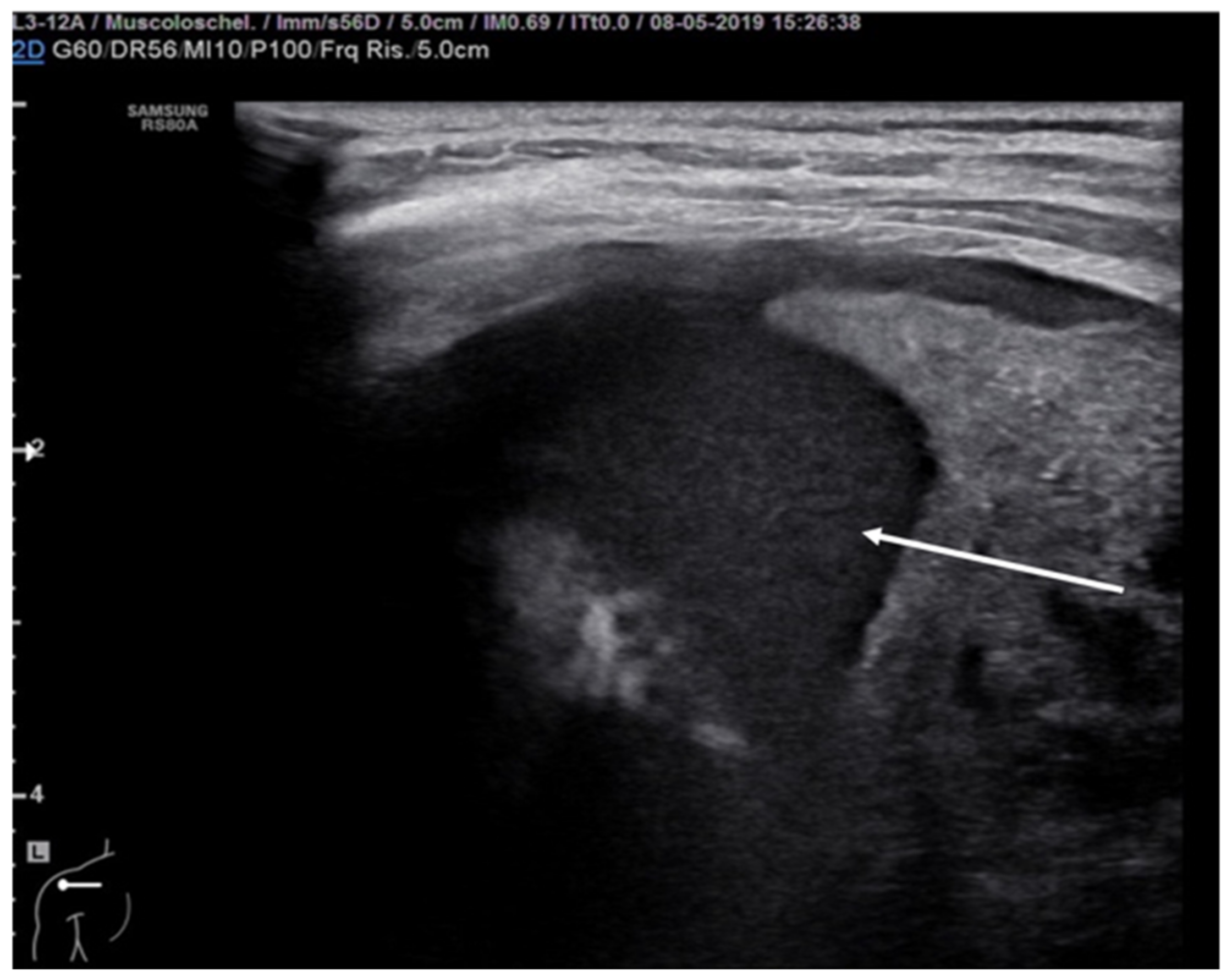 Diagnostics 11 00652 g012 Diagnostics 11 00652 g012