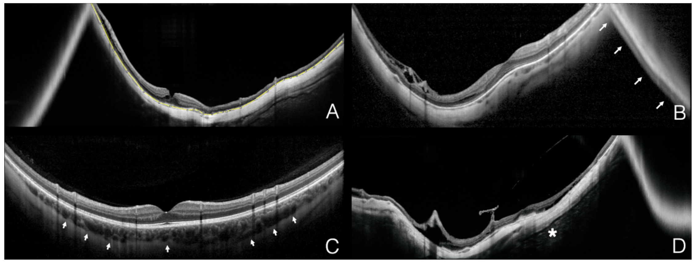 Diagnostics 11 00658 g001