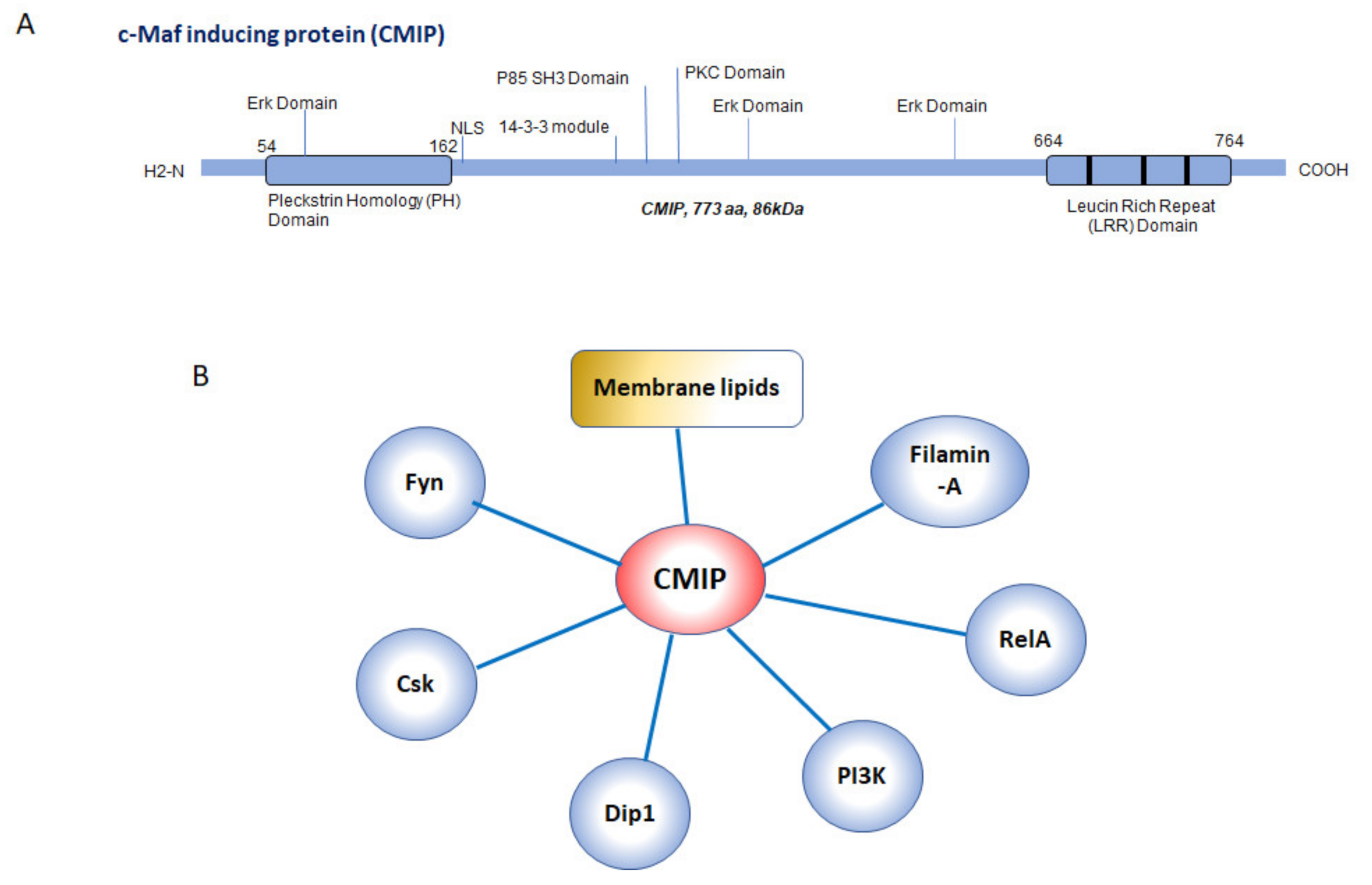 Diagnostics 11 00666 g001 Diagnostics 11 00666 g001