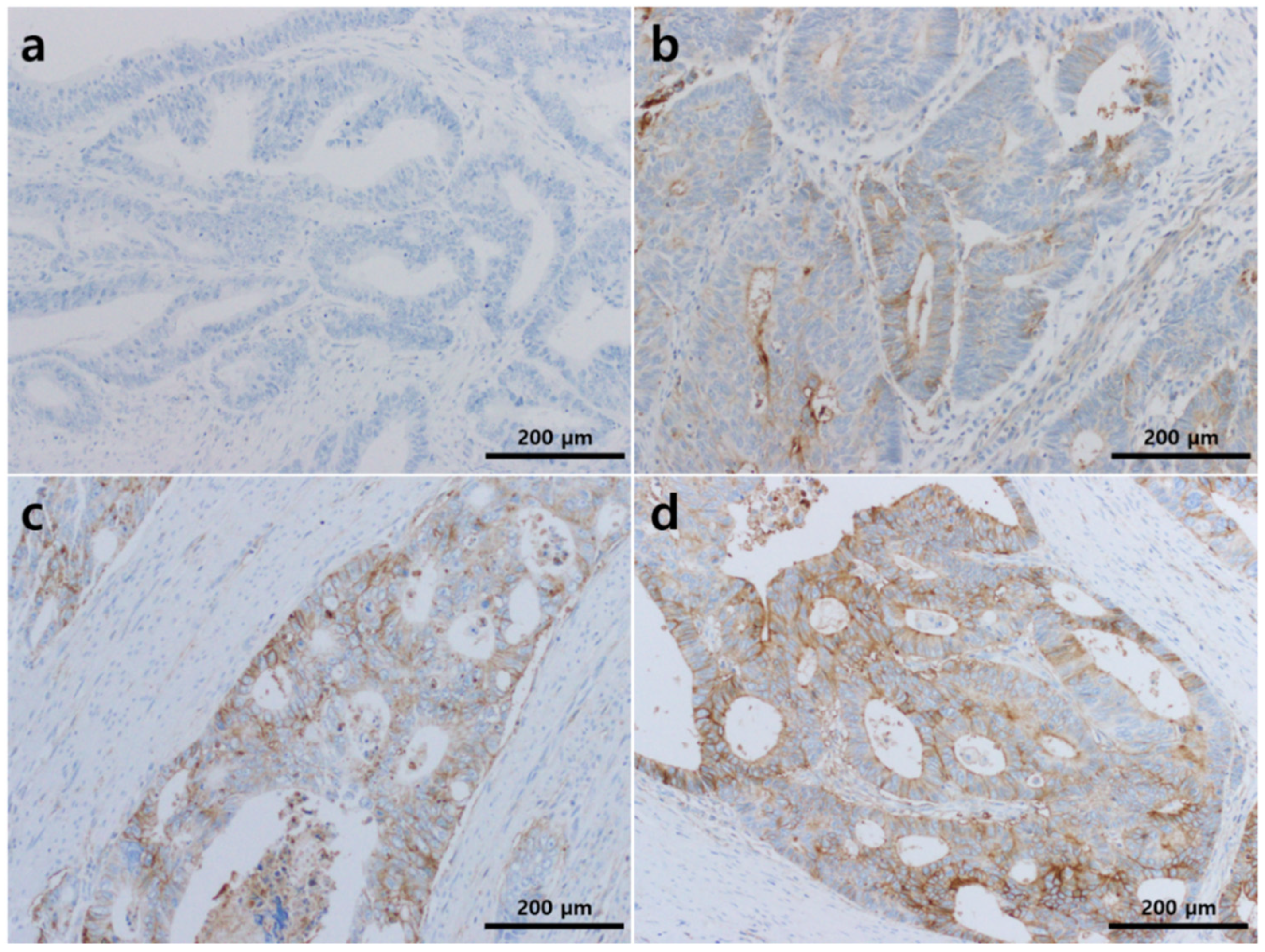 Diagnostics 11 00668 g001 Diagnostics 11 00668 g001