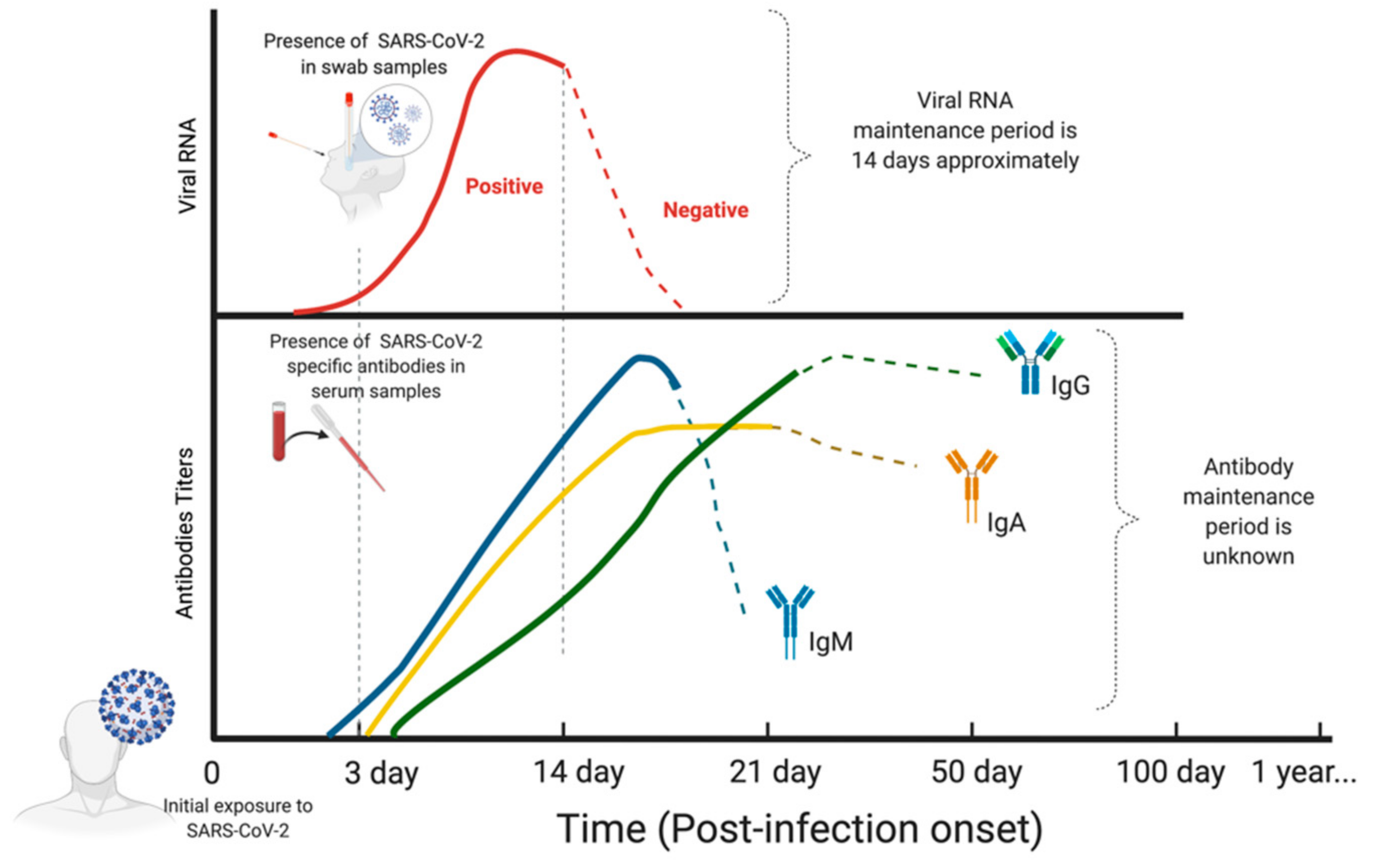 Diagnostics 11 00678 g001
