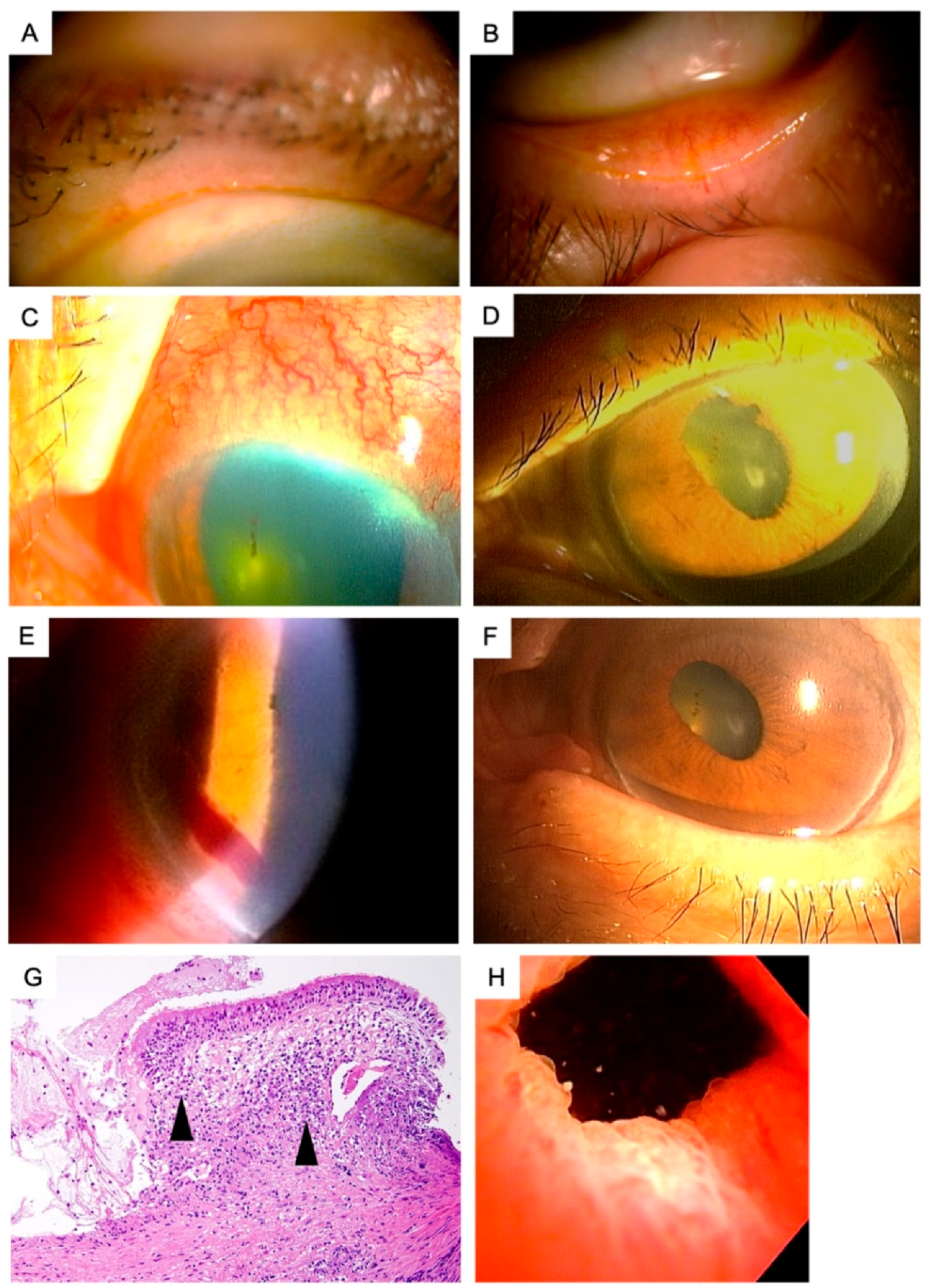 Diagnostics 11 00680 g001