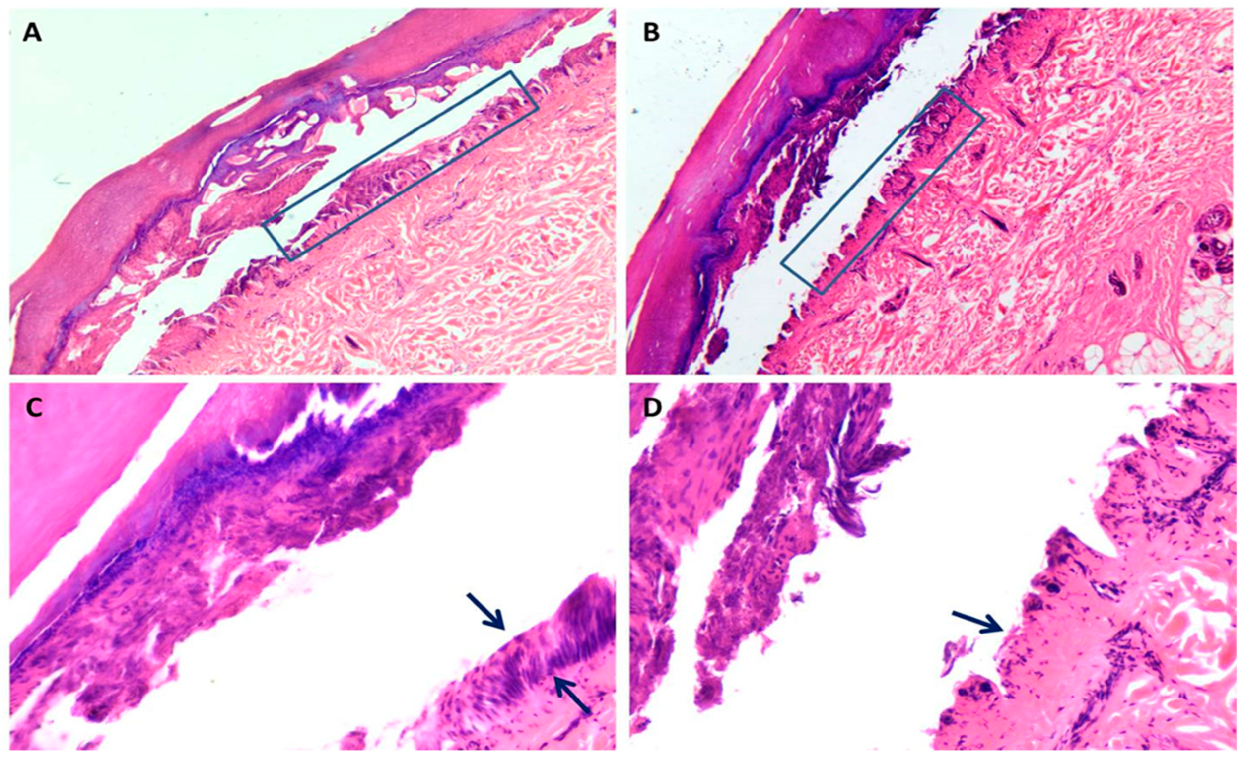 Diagnostics 11 00682 g002