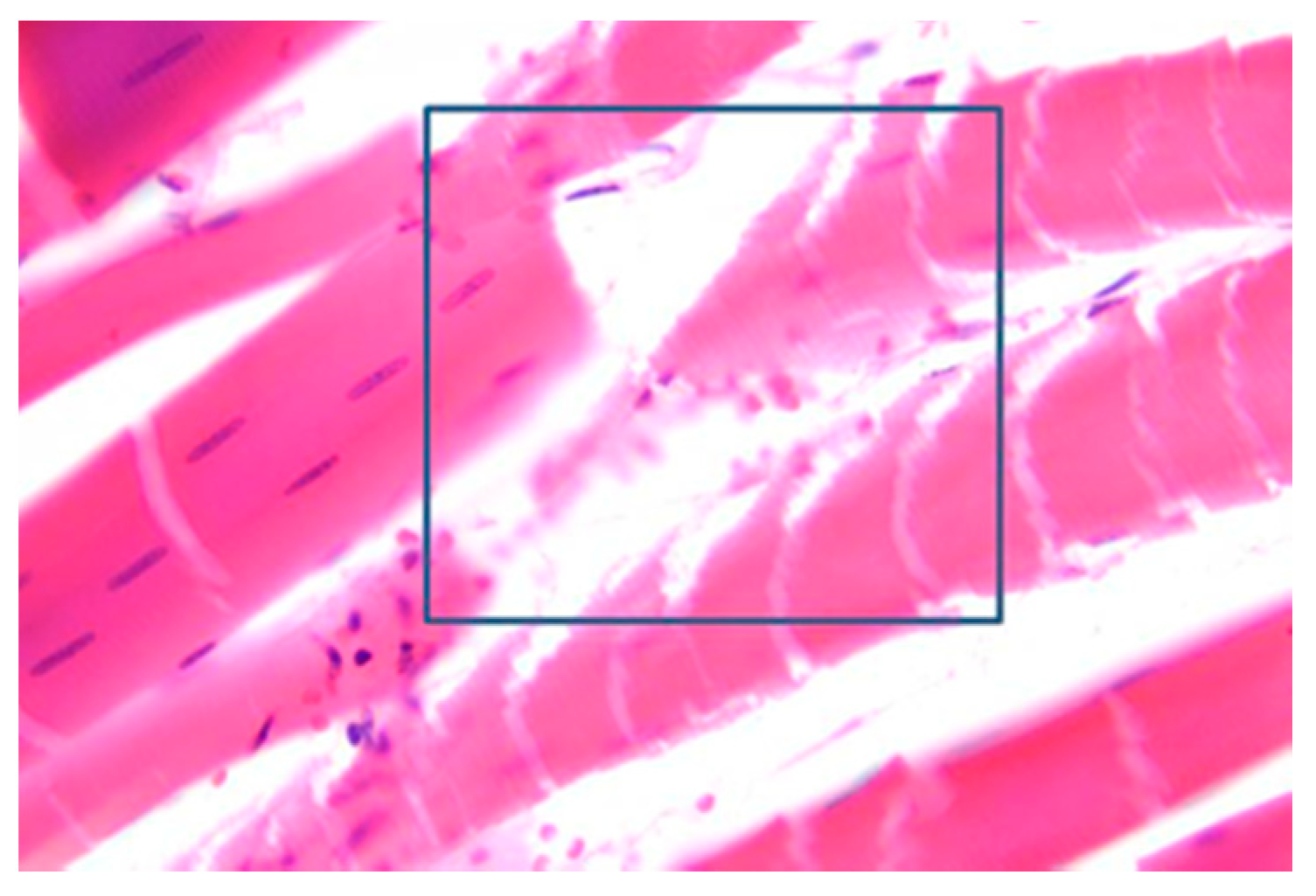 Diagnostics 11 00682 g005