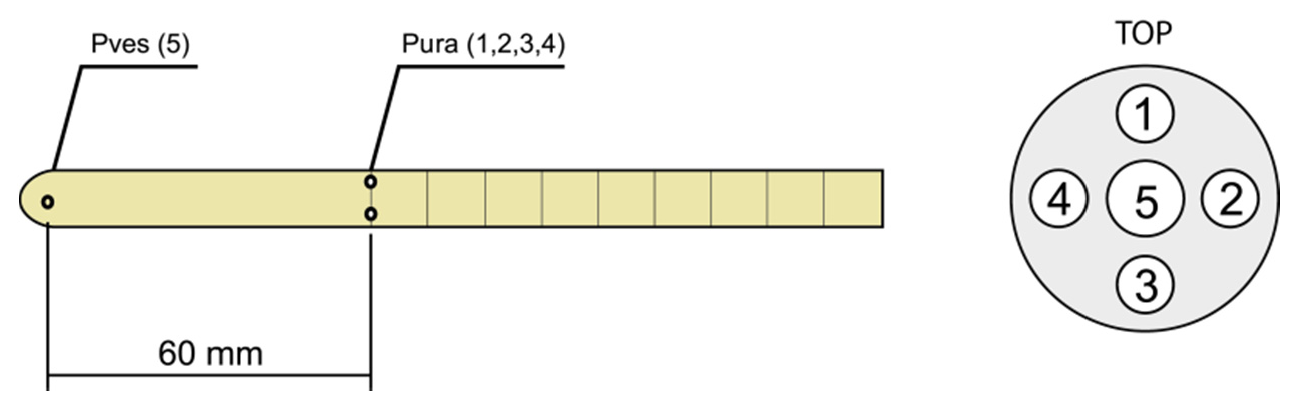 Diagnostics 11 00687 g001