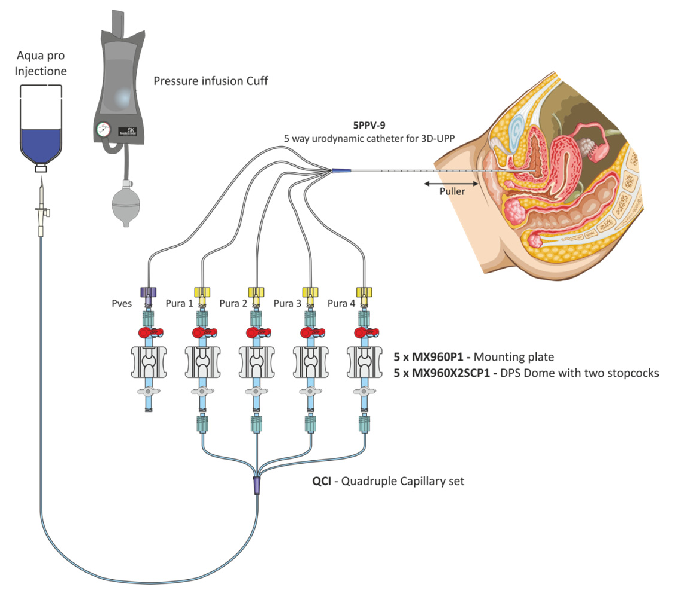 Diagnostics 11 00687 g002