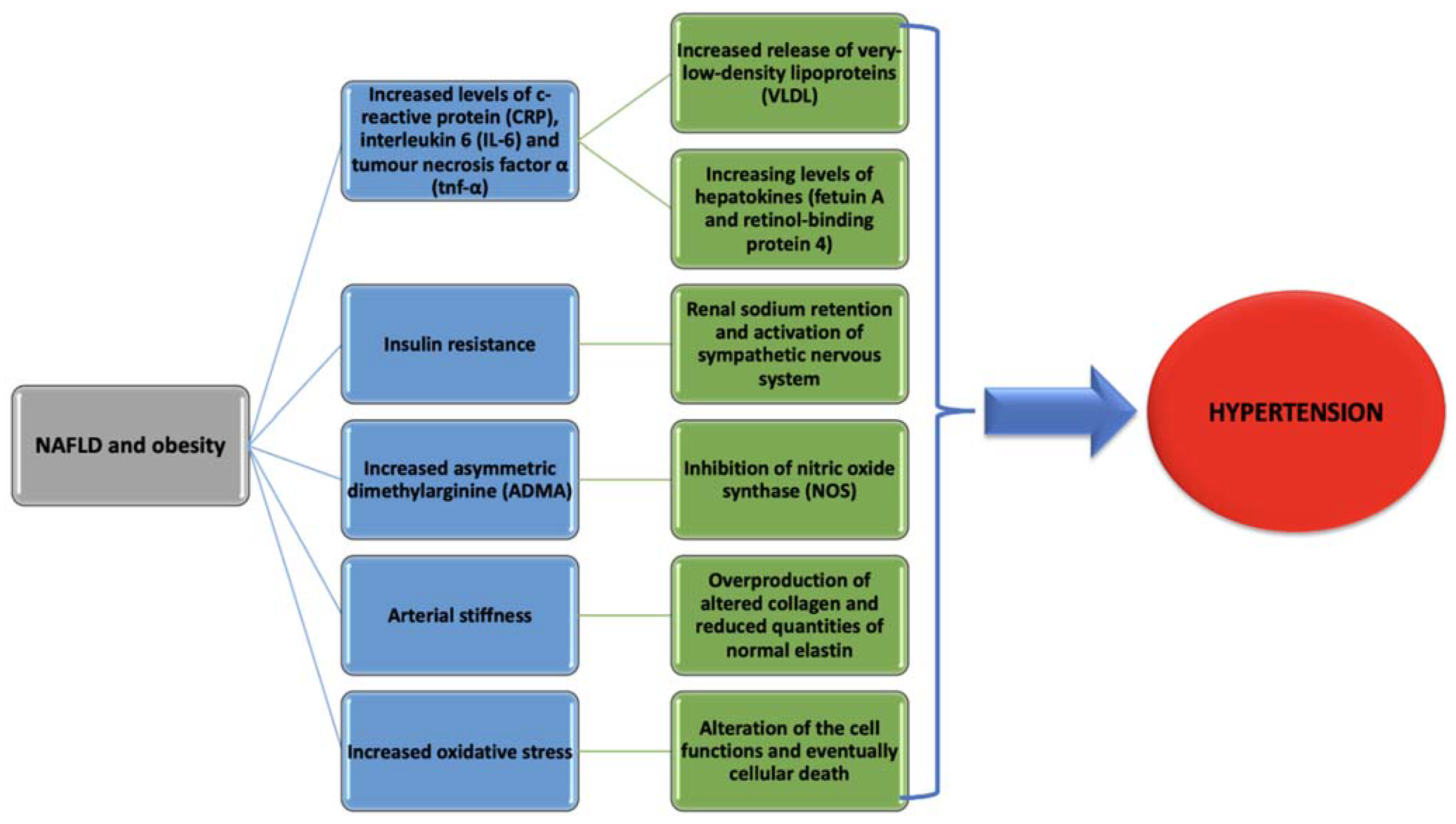 Diagnostics 11 00689 g001 Diagnostics 11 00689 g001